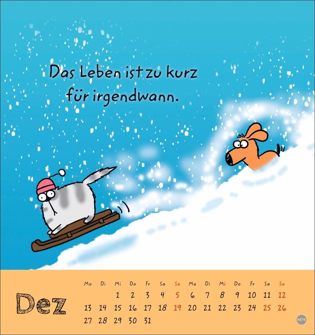 Beispielinhalt (Bild) Catzz Postkartenkalender 2027