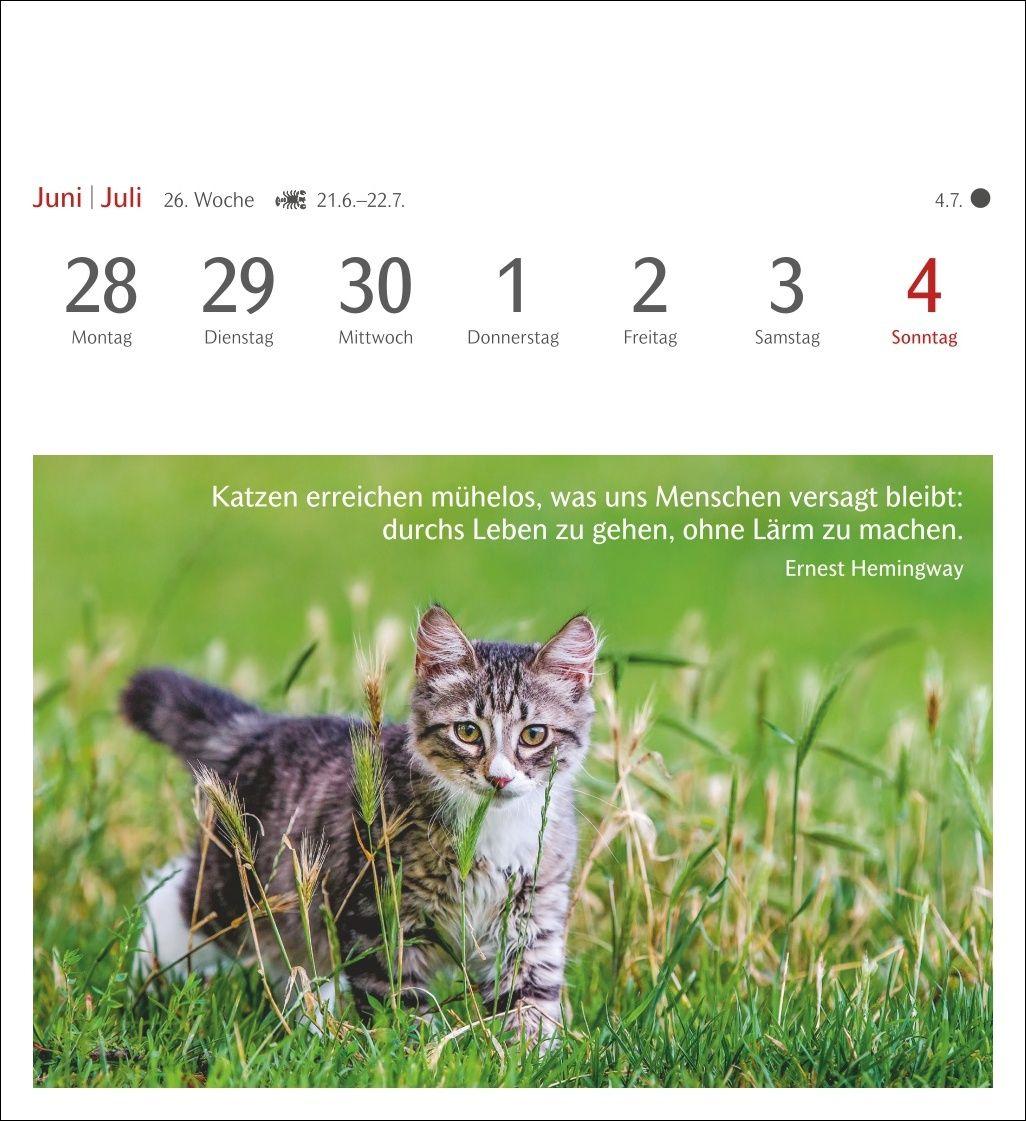 Beispielinhalt (Bild) Momente des Glücks Postkartenkalender 2027 - Wochenkalender mit Zitaten, mit 53 Postkarten
