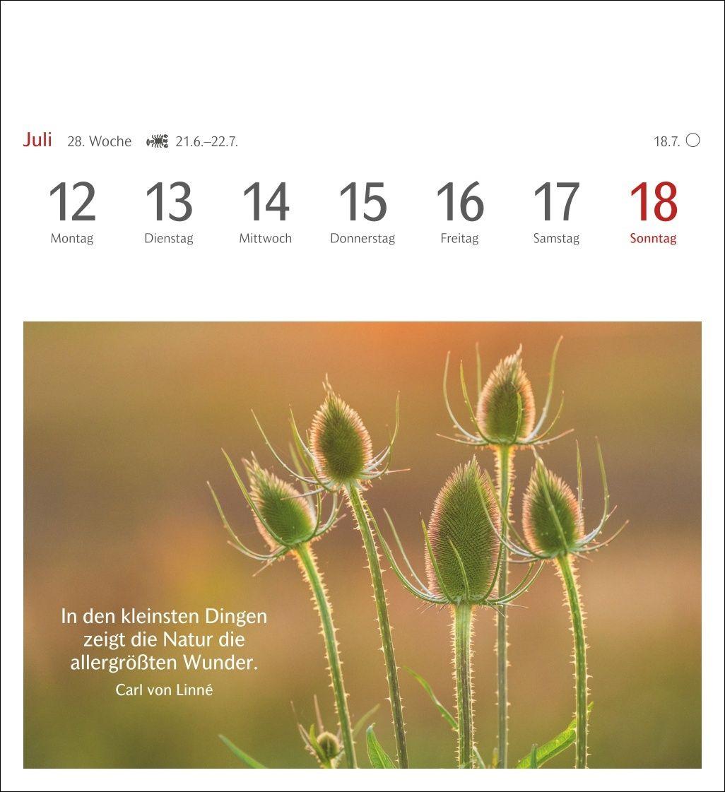 Beispielinhalt (Bild) Momente des Glücks Postkartenkalender 2027 - Wochenkalender mit Zitaten, mit 53 Postkarten