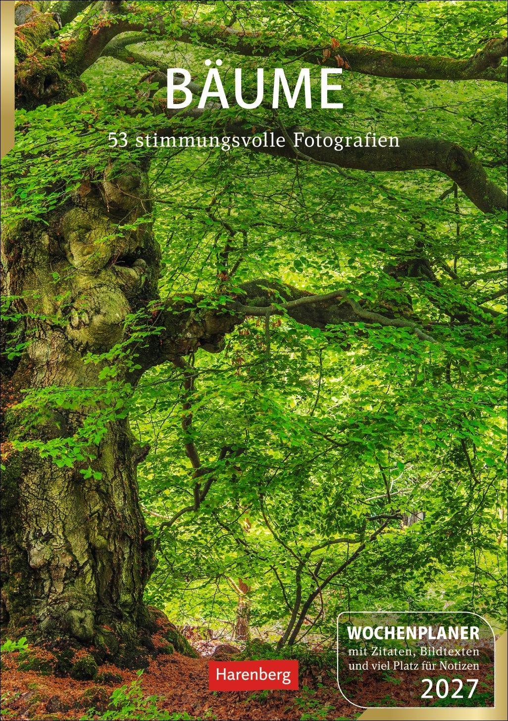 Vorderes Coverbild Bäume Wochenplaner 2027 - 53 stimmungsvolle Fotografien