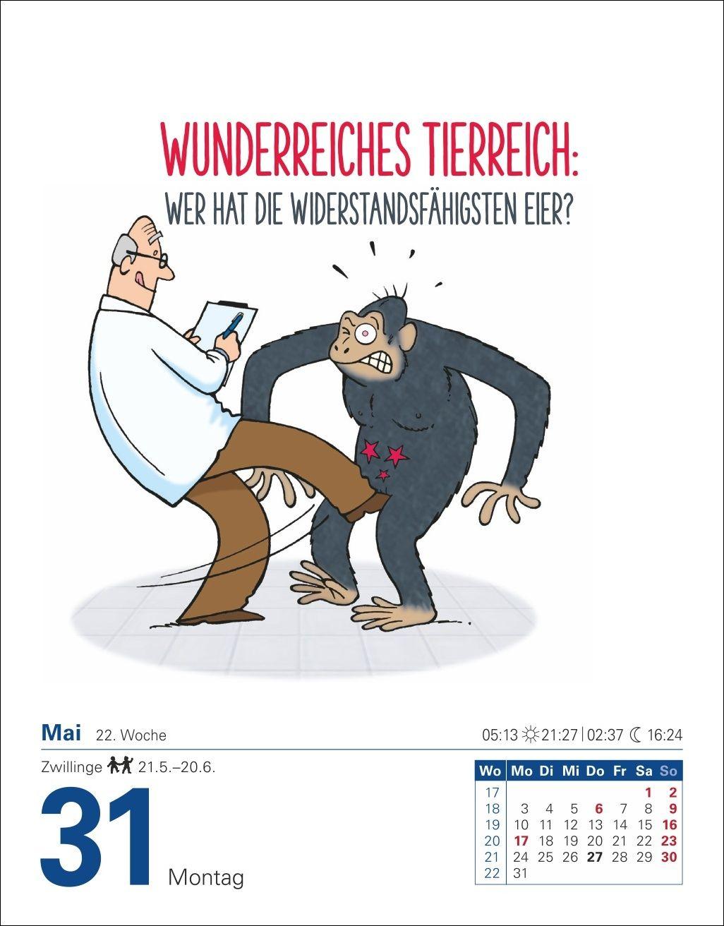 Beispielinhalt (Bild) Was so nicht im Lexikon steht Tagesabreißkalender 2027 - Kuriositäten, Histörchen und merkwürdige Geschichten