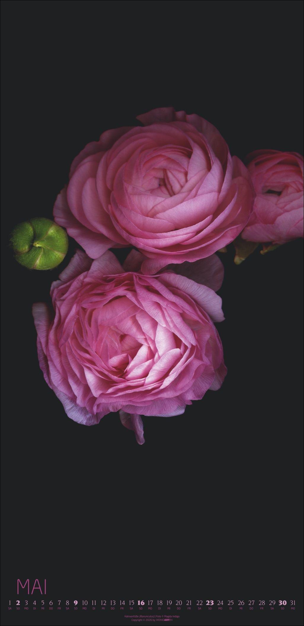 Beispielinhalt (Bild) Die Magie der Blumen Kalender 2027