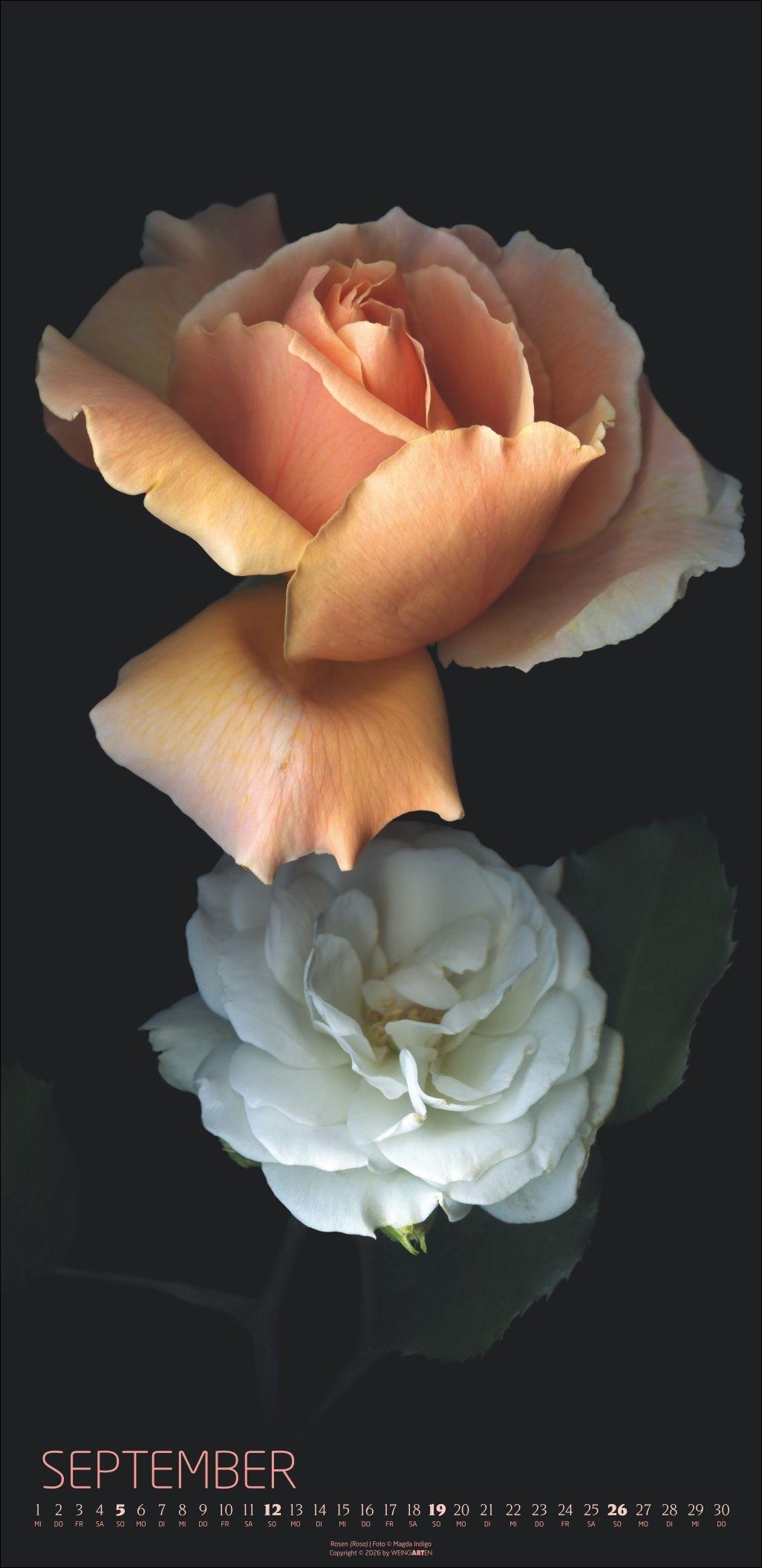 Beispielinhalt (Bild) Die Magie der Blumen Kalender 2027