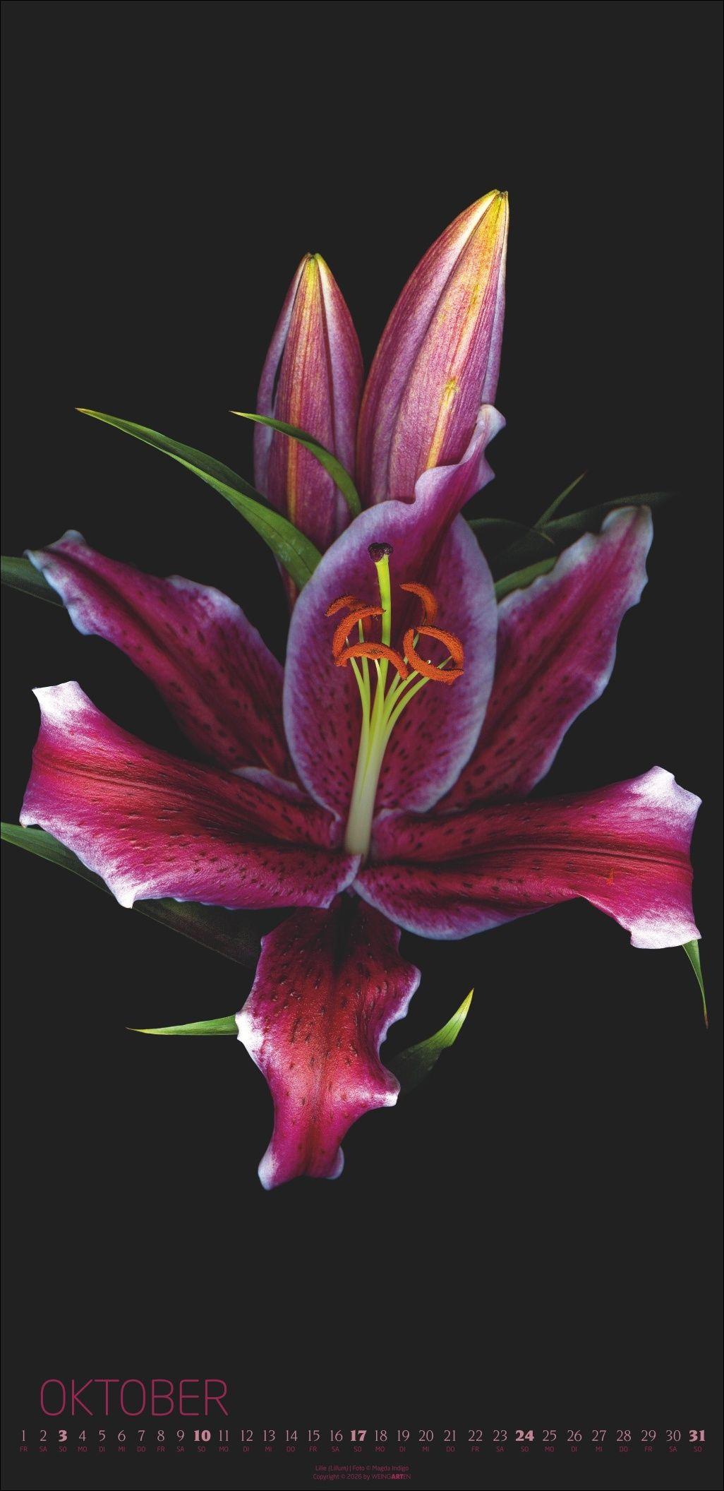 Beispielinhalt (Bild) Die Magie der Blumen Kalender 2027