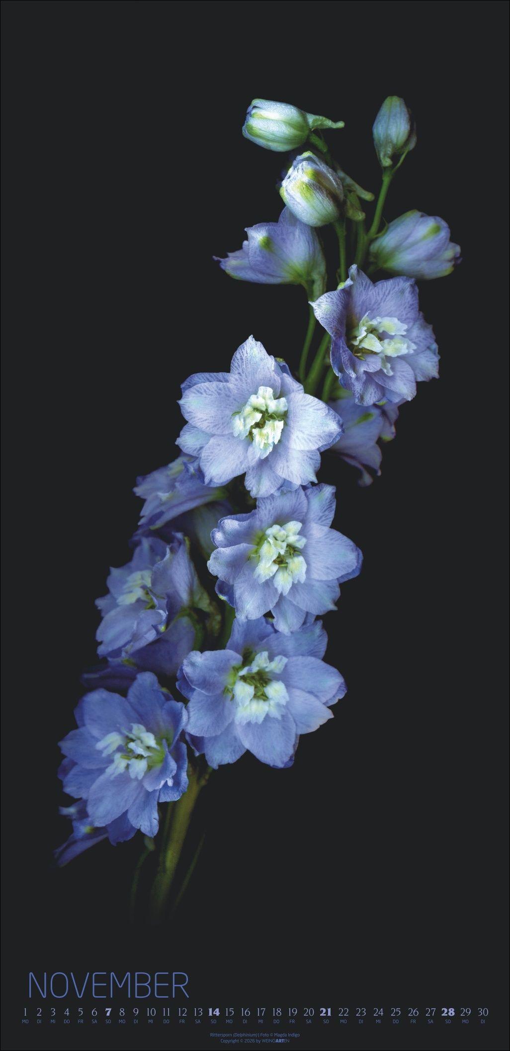 Beispielinhalt (Bild) Die Magie der Blumen Kalender 2027