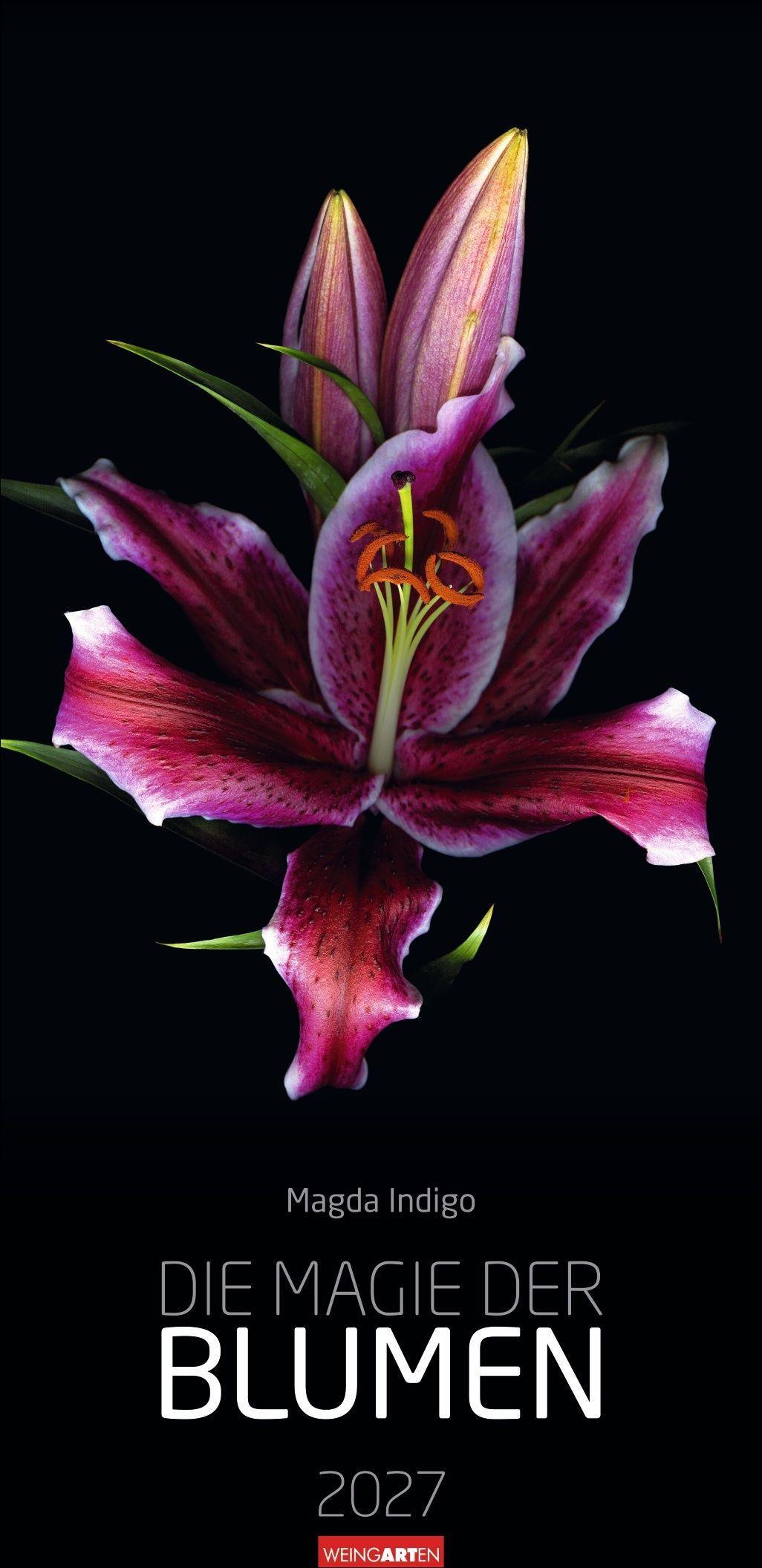 Vorderes Coverbild Die Magie der Blumen Kalender 2027