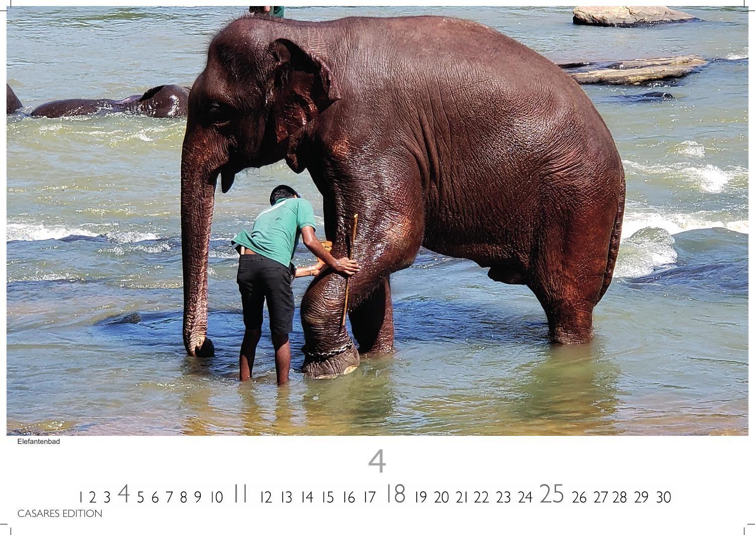 Beispielinhalt (Bild) Sri Lanka Kalender 2027 - Wandkalender | Fotokalender Asien 24x35cm - Hochwertiger für 2027 - mit atemberaubenden Fotos von Sri Lanka, perfekt für Sri Lanka -Liebhaber