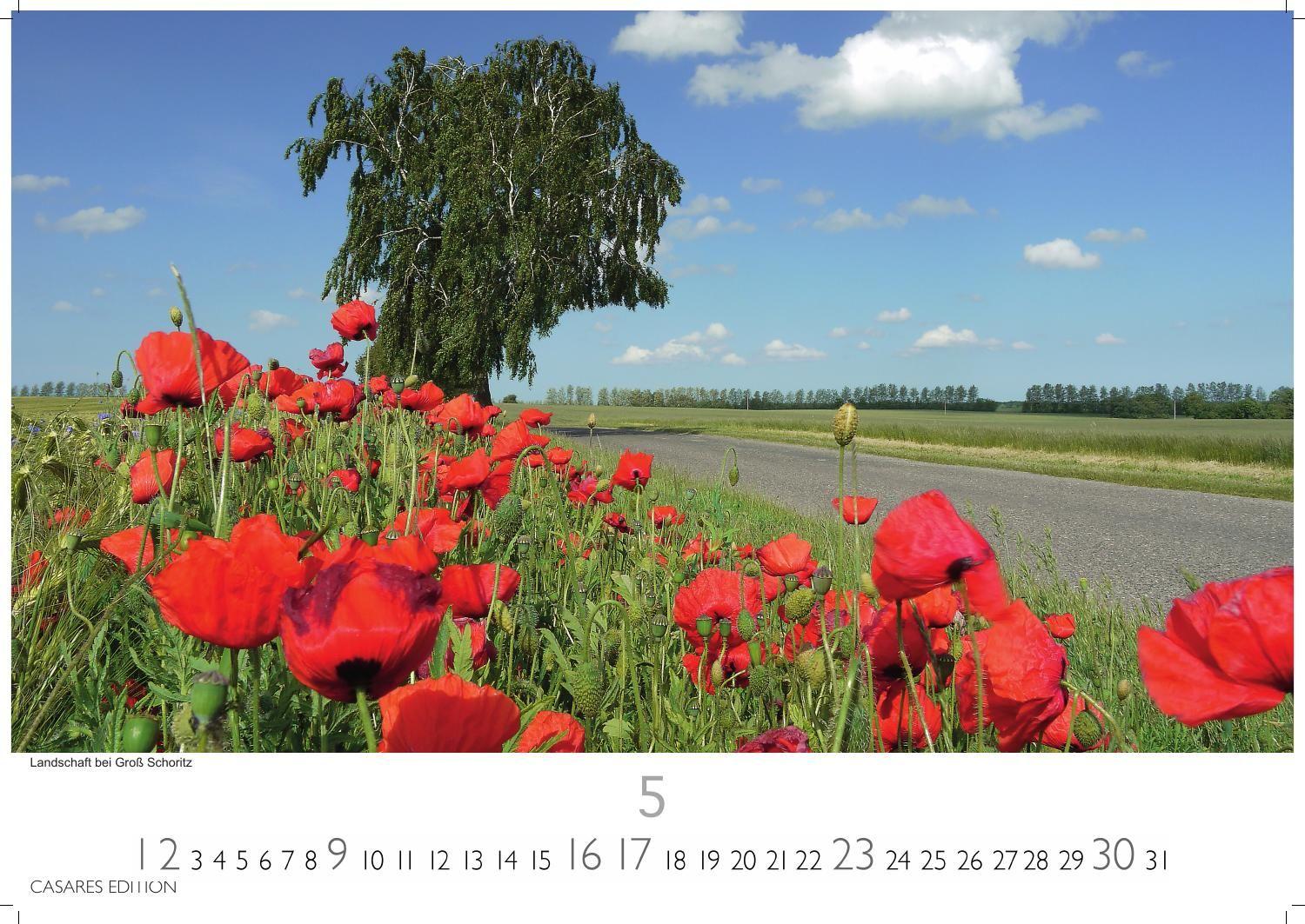 Beispielinhalt (Bild) Rügen Kalender 2027 - Wandkalender | Fotokalender Deutschland 35x50cm | in 12 faszinierenden Fotos - von Küstenromantik bis wildromantischer Inselnatur