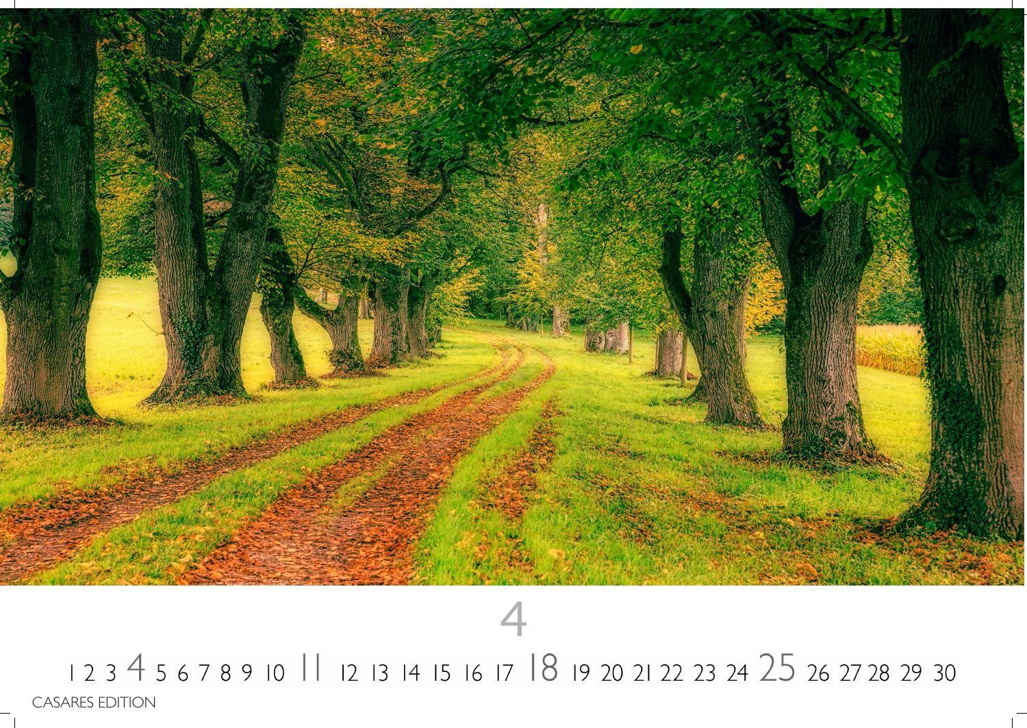 Beispielinhalt (Bild) Wald & Natur Kalender 2027 - Wandkalender | Fotokalender Naturkalender 24x 35cm - Natürliche Schönheit & Ruhe für jeden Monat .