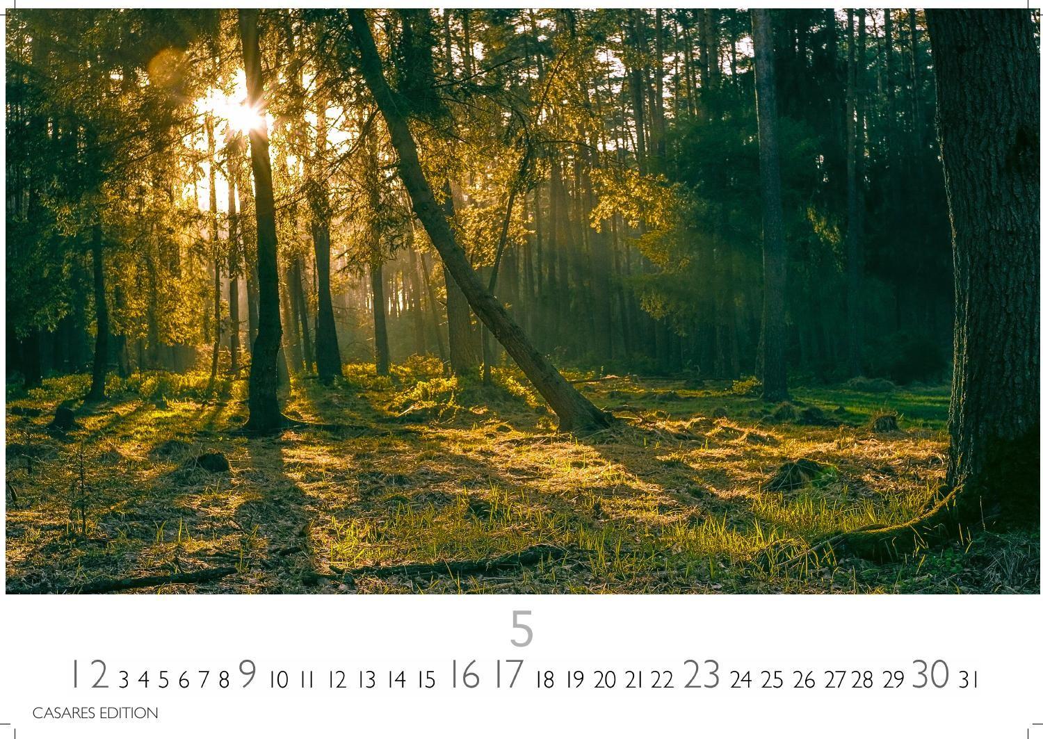 Beispielinhalt (Bild) Wald & Natur Kalender 2027 - Wandkalender | Fotokalender Naturkalender 24x 35cm - Natürliche Schönheit & Ruhe für jeden Monat .