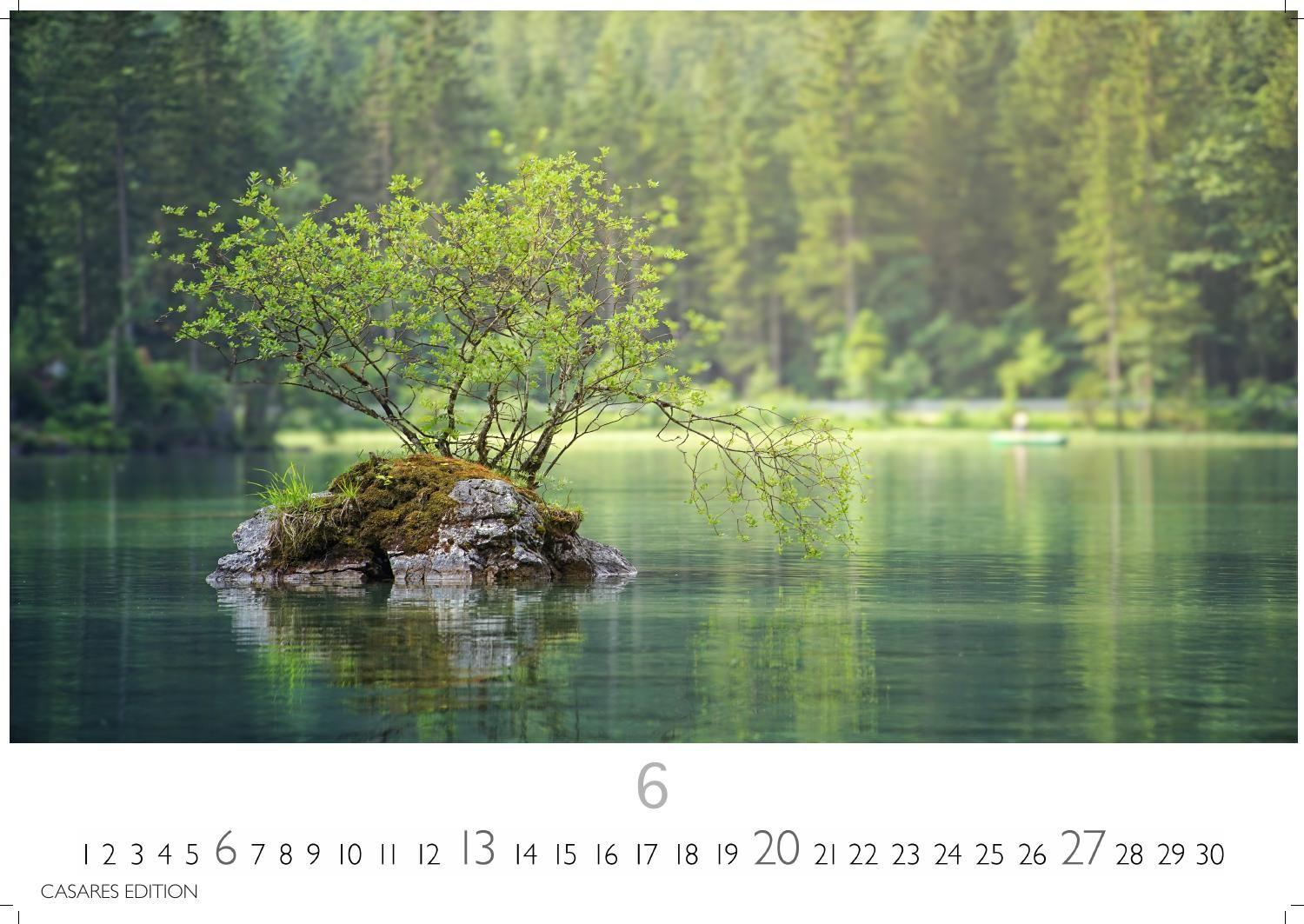 Beispielinhalt (Bild) Wald & Natur Kalender 2027 - Wandkalender | Fotokalender Naturkalender 24x 35cm - Natürliche Schönheit & Ruhe für jeden Monat .