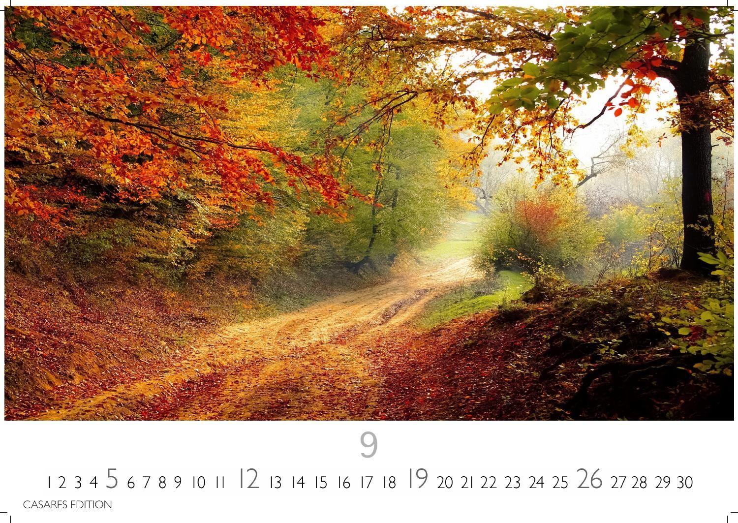 Beispielinhalt (Bild) Wald & Natur Kalender 2027 - Wandkalender | Fotokalender Naturkalender 24x 35cm - Natürliche Schönheit & Ruhe für jeden Monat .