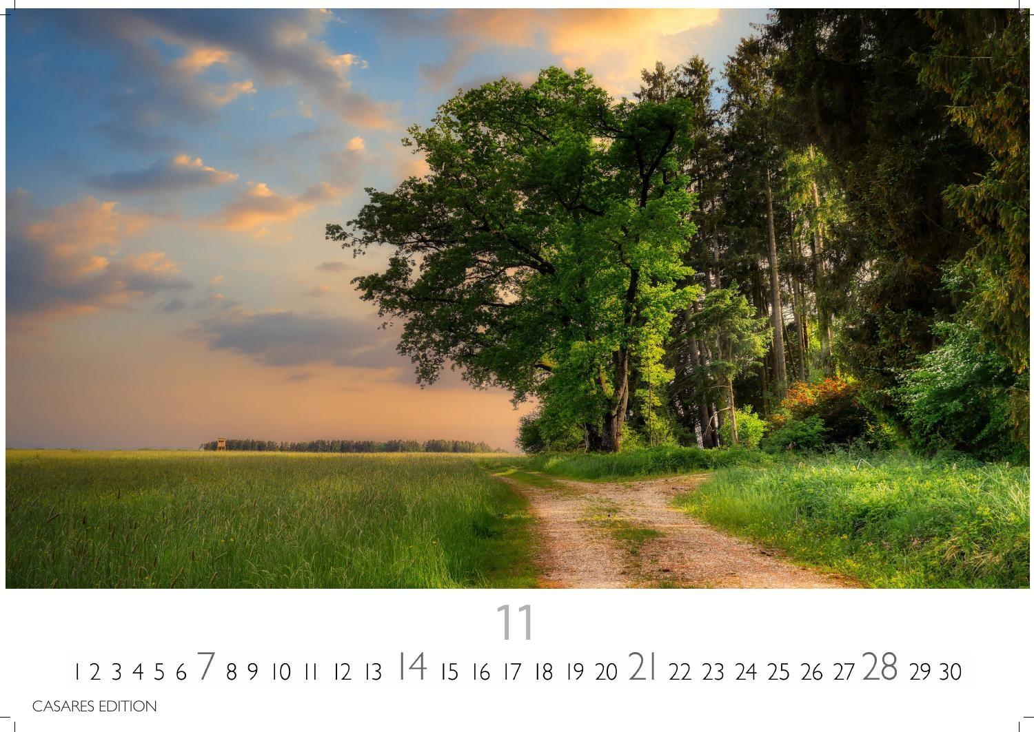 Beispielinhalt (Bild) Wald & Natur Kalender 2027 - Wandkalender | Fotokalender Naturkalender 24x 35cm - Natürliche Schönheit & Ruhe für jeden Monat .