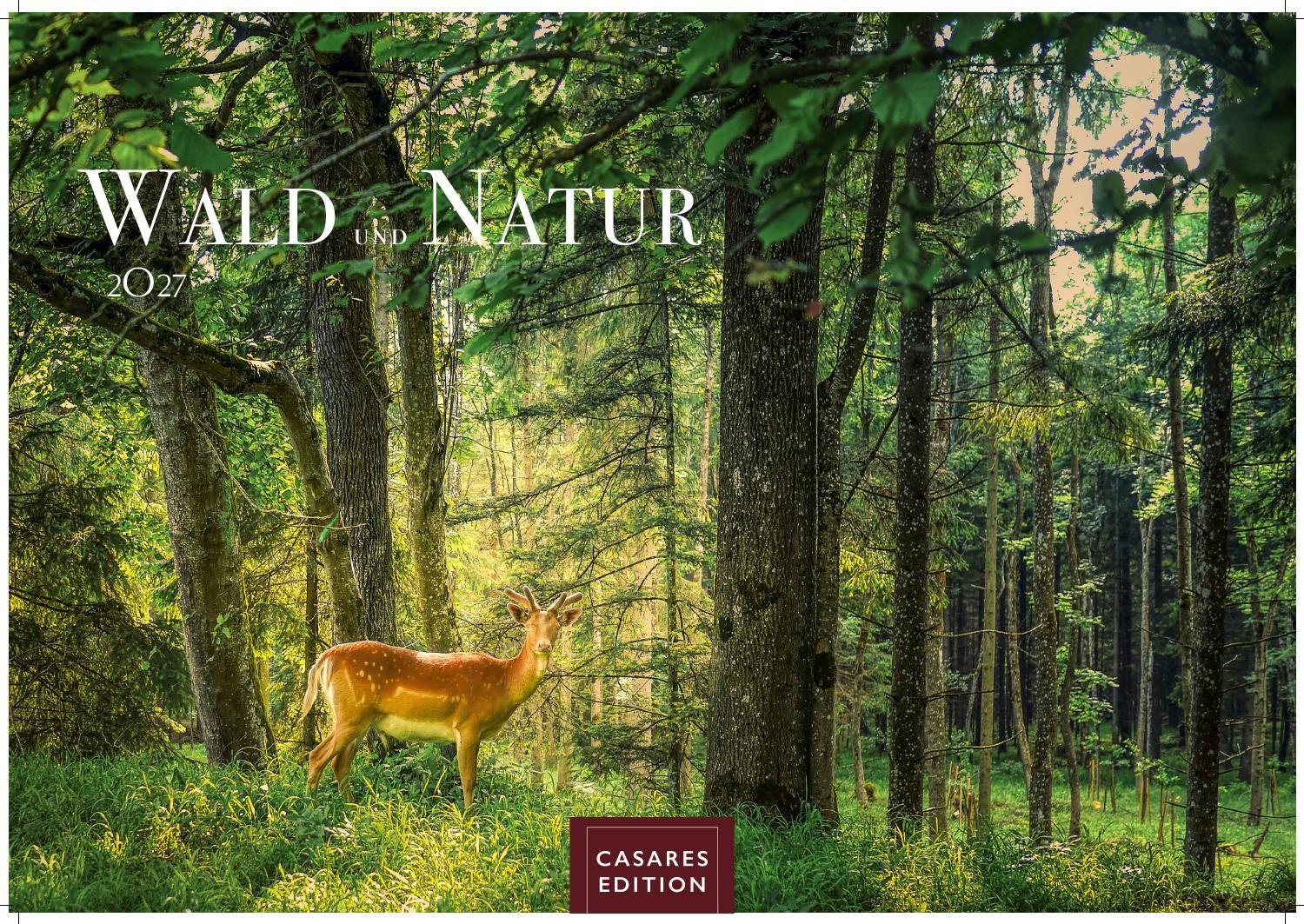 Vorderes Coverbild Wald & Natur Kalender 2027 - Wandkalender | Fotokalender Naturkalender 24x 35cm - Natürliche Schönheit & Ruhe für jeden Monat .