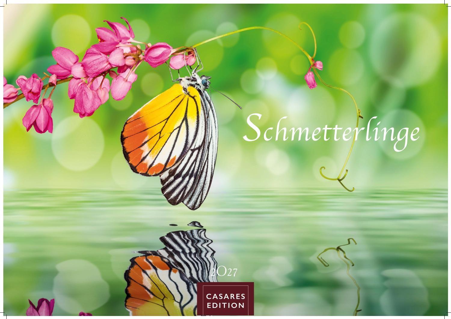 Vorderes Coverbild Schmetterlinge Kalender 2027 - Wandkalender | Fotokalender Tierkalender 35x50cm Grosses Format - Mit wunderschönen, detailreichen Bildern von Schmetterlingen.