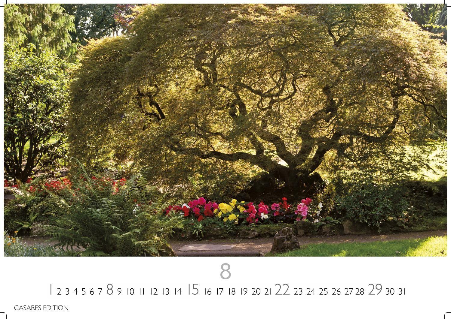 Beispielinhalt (Bild) Japanische Gärten Kalender 2027 - Wandkalender | Fotokalender Asien 35x50cm Grosses Format - Fotografien authentischer japanischer Gärten, perfekt für Natur- und Gartenliebhaber