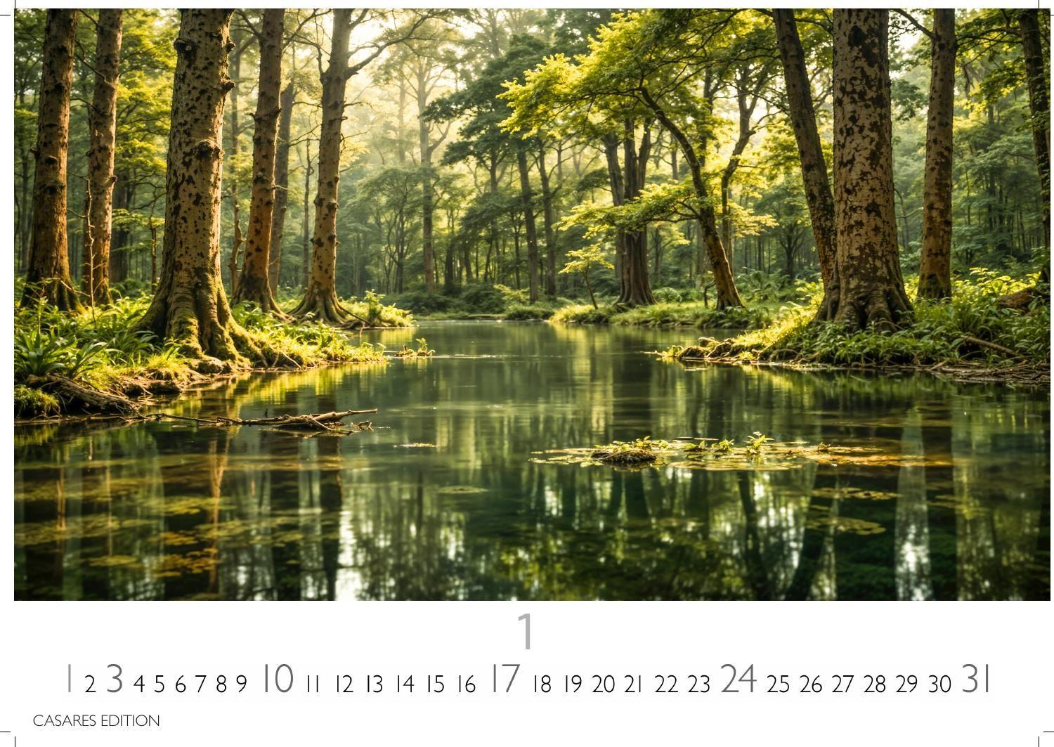 Beispielinhalt (Bild) Wald & Natur Kalender 2027 - Wandkalender | Fotokalender Naturkalender Großformat 35x50cm - Natürliche Schönheit & Ruhe für jeden Monat .