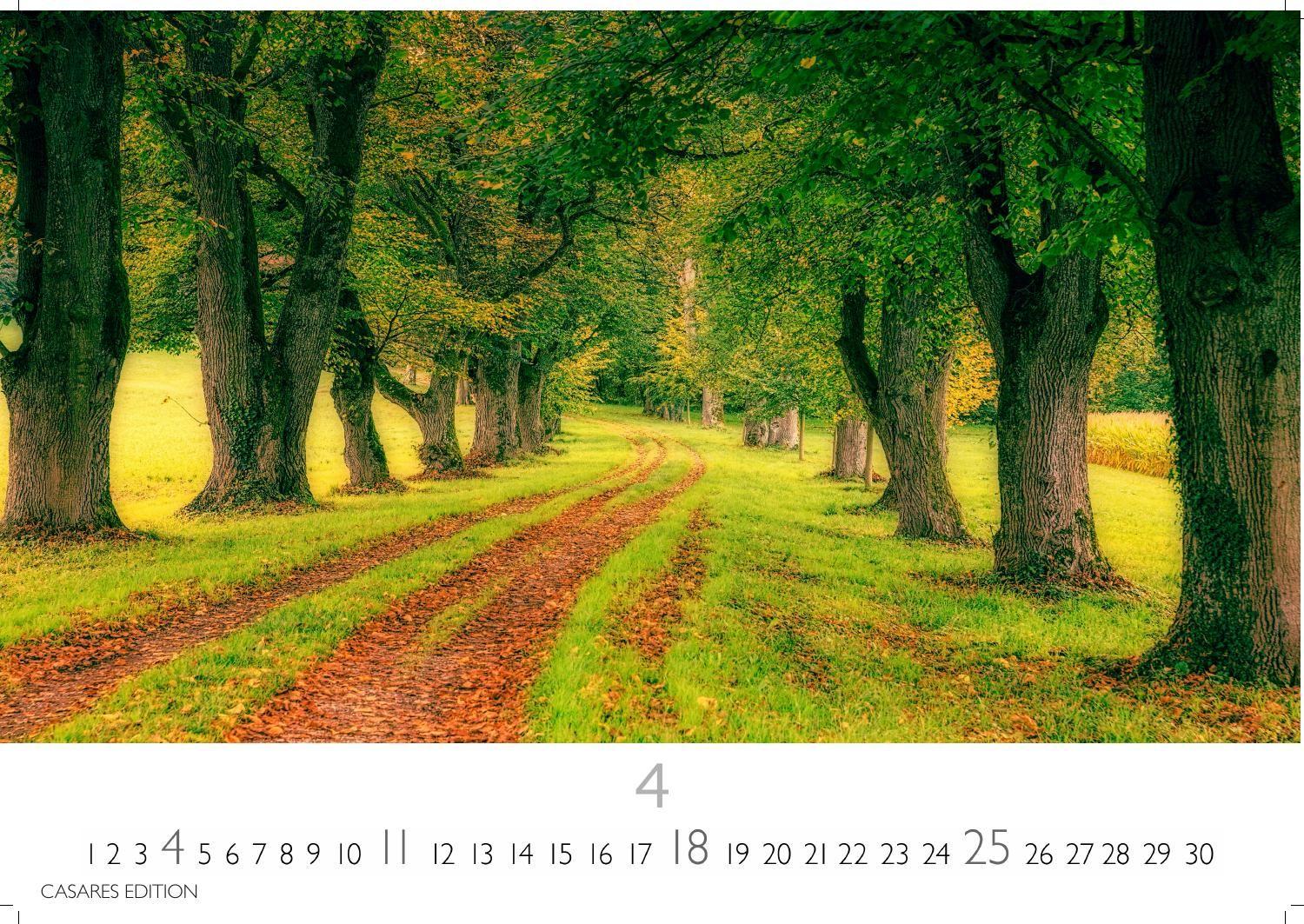 Beispielinhalt (Bild) Wald & Natur Kalender 2027 - Wandkalender | Fotokalender Naturkalender Großformat 35x50cm - Natürliche Schönheit & Ruhe für jeden Monat .