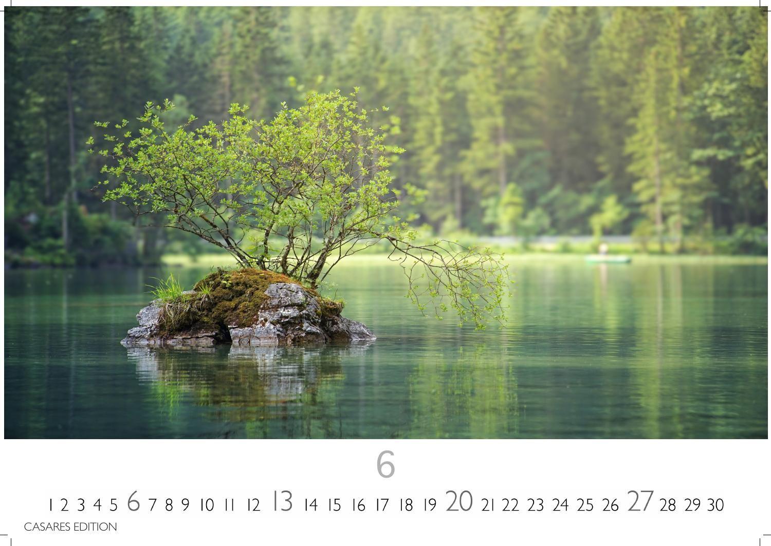 Beispielinhalt (Bild) Wald & Natur Kalender 2027 - Wandkalender | Fotokalender Naturkalender Großformat 35x50cm - Natürliche Schönheit & Ruhe für jeden Monat .