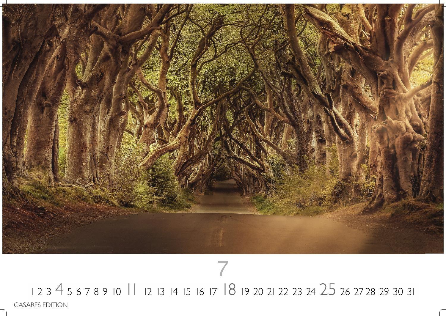 Beispielinhalt (Bild) Wald & Natur Kalender 2027 - Wandkalender | Fotokalender Naturkalender Großformat 35x50cm - Natürliche Schönheit & Ruhe für jeden Monat .
