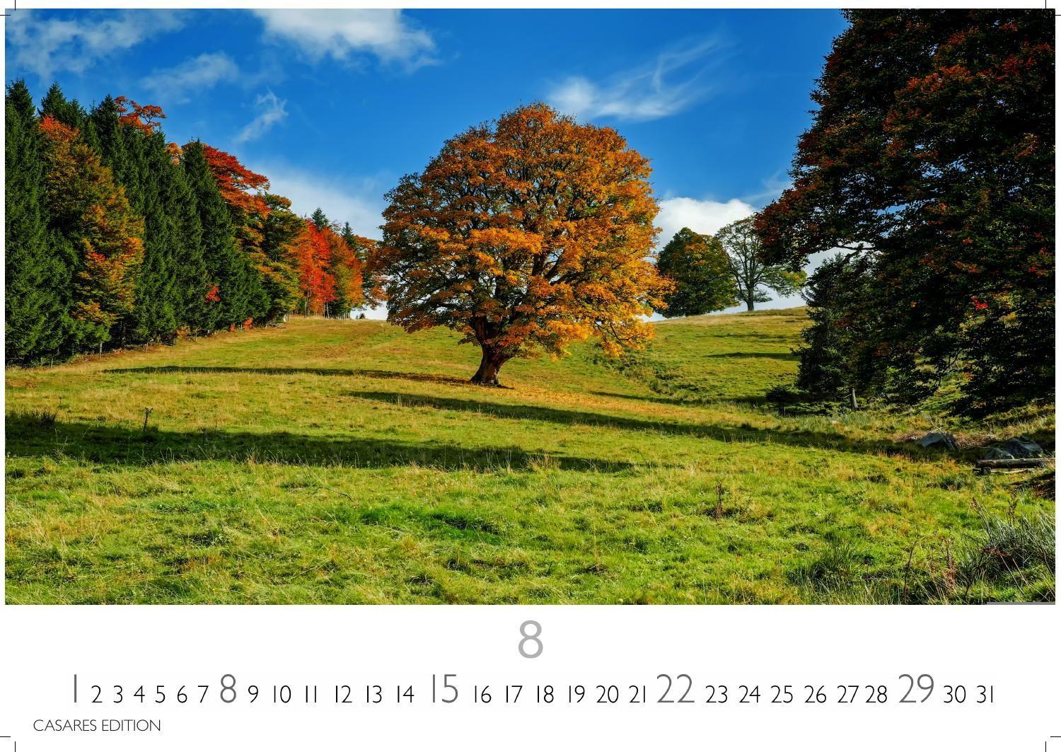 Beispielinhalt (Bild) Wald & Natur Kalender 2027 - Wandkalender | Fotokalender Naturkalender Großformat 35x50cm - Natürliche Schönheit & Ruhe für jeden Monat .