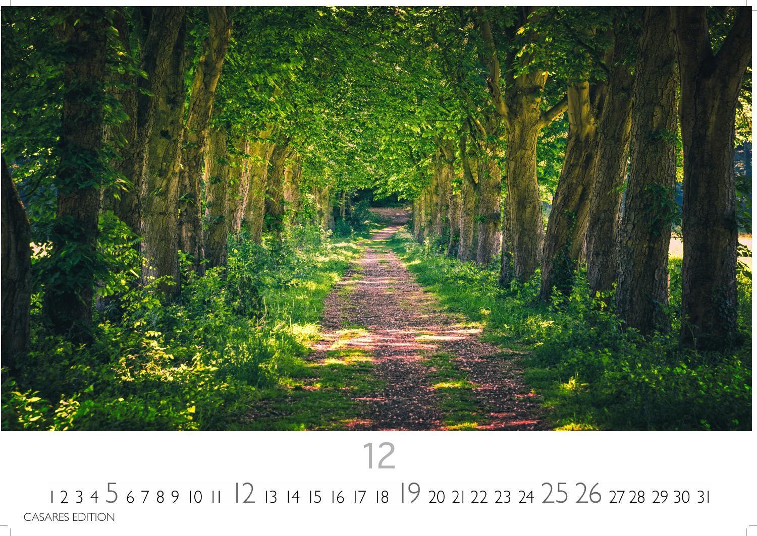 Beispielinhalt (Bild) Wald & Natur Kalender 2027 - Wandkalender | Fotokalender Naturkalender Großformat 35x50cm - Natürliche Schönheit & Ruhe für jeden Monat .