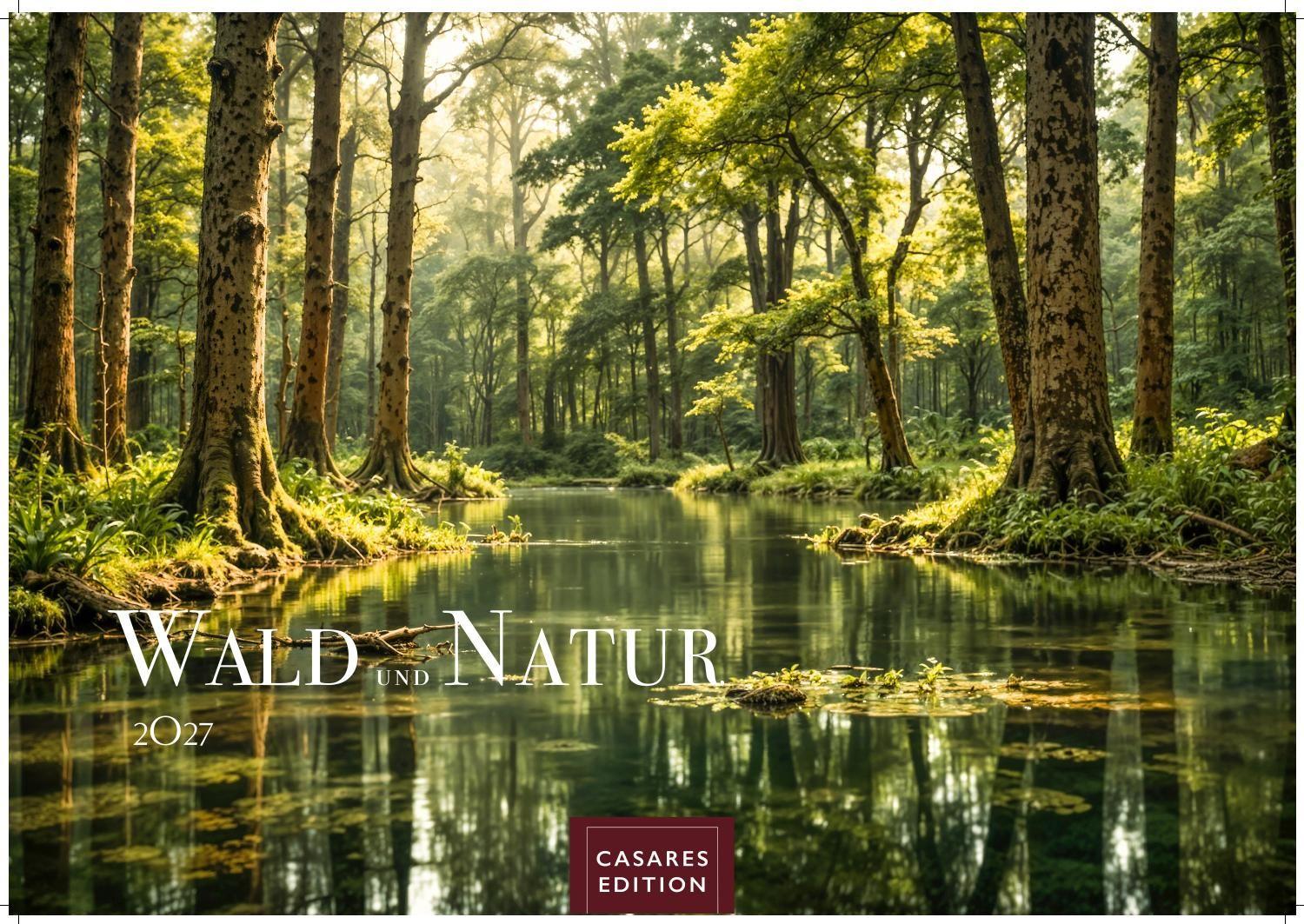 Vorderes Coverbild Wald & Natur Kalender 2027 - Wandkalender | Fotokalender Naturkalender Großformat 35x50cm - Natürliche Schönheit & Ruhe für jeden Monat .