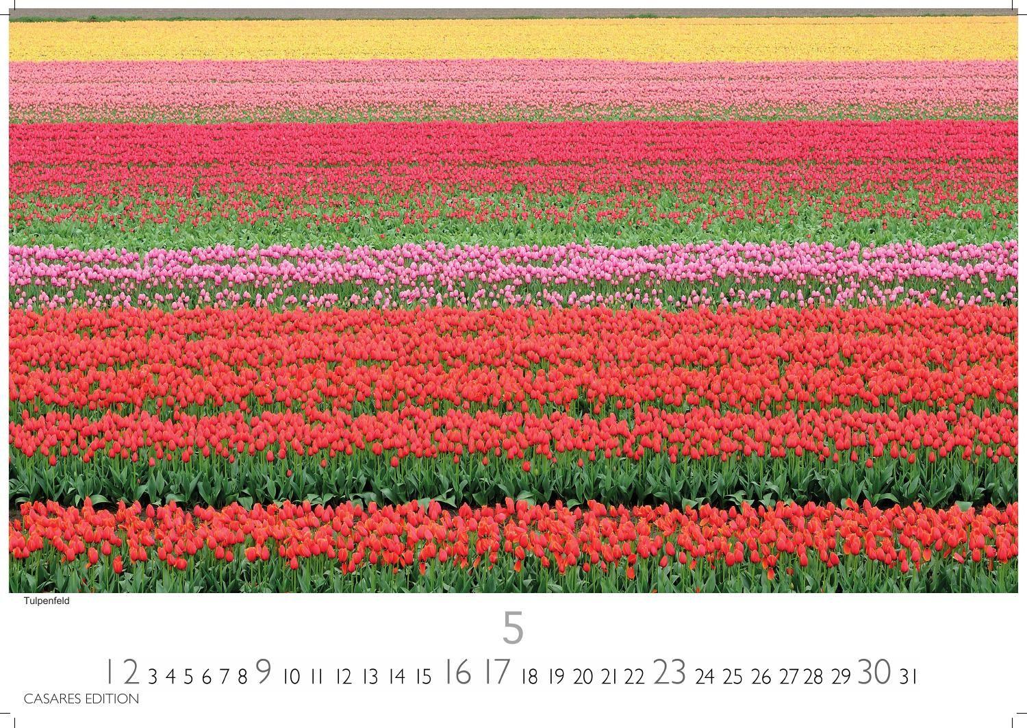 Beispielinhalt (Bild) Niederlande Kalender 2027 - Wandkalender | Fotokalender Mitteleuropa 24x35cm - Entdecken Sie die schönsten Sehenswürdigkeiten der Niederlande