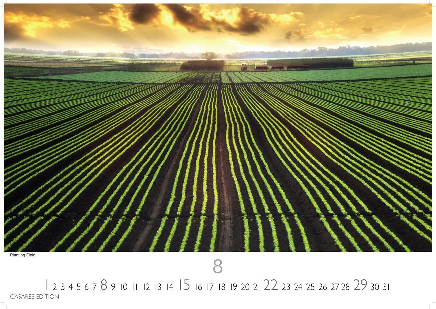 Beispielinhalt (Bild) Florida Kalender 2027 - Wandkalender | Fotokalender Nordamerika 35x50cm Traumhafte Landschaften & Küstenstädte voller Lebensfreude, perfekt als Geschenkidee