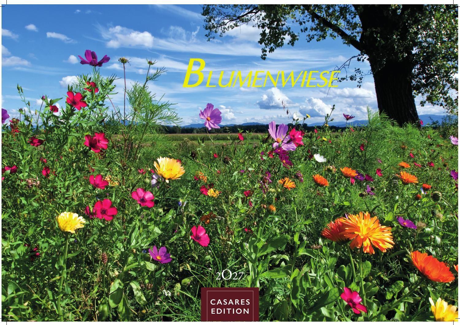 Vorderes Coverbild Blumenwiese Kalender 2027 - Wandkalender | Fotokalender Naturkalender 35x50cm | Wunderschöne Fotos der blühenden Natur