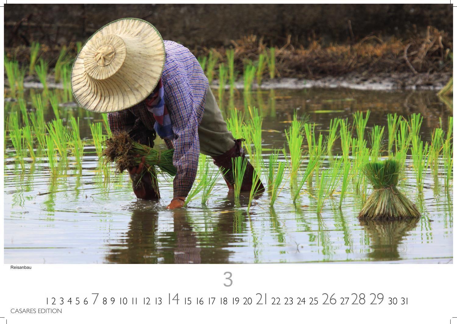 Beispielinhalt (Bild) Thailand Kalender 2027 - Wandkalender | Fotokalender 24x35cm - Hochwertiger für 2027 - von der beeindruckenden Schönheit des Landes, Perfekt für Thailand-Liebhaber