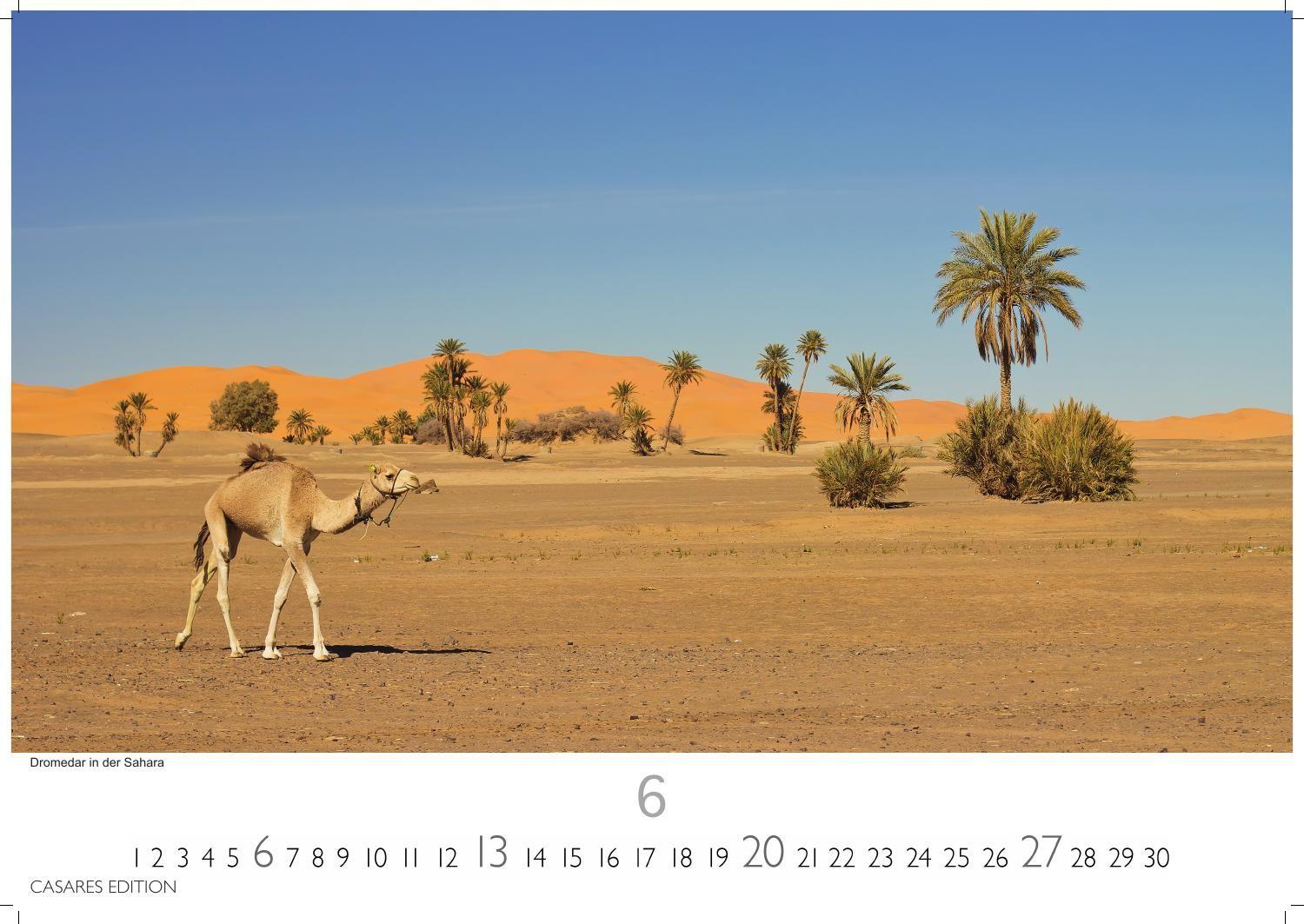 Beispielinhalt (Bild) Tunesien Kalender 2027 - Wandkalender | Fotokalender Afrika 35x50 cm: Hochwertige Fotos, die die Kultur, Landschaften und Sehenswürdigkeiten Tunesiens zeigen.