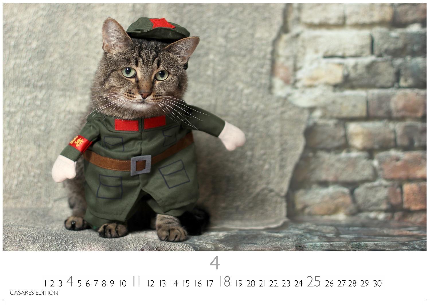 Beispielinhalt (Bild) Funny Cats Kalender 2027 - Wandkalender | Fotokalender Tierkalender 35x50cm - Witziger Katzenkalender