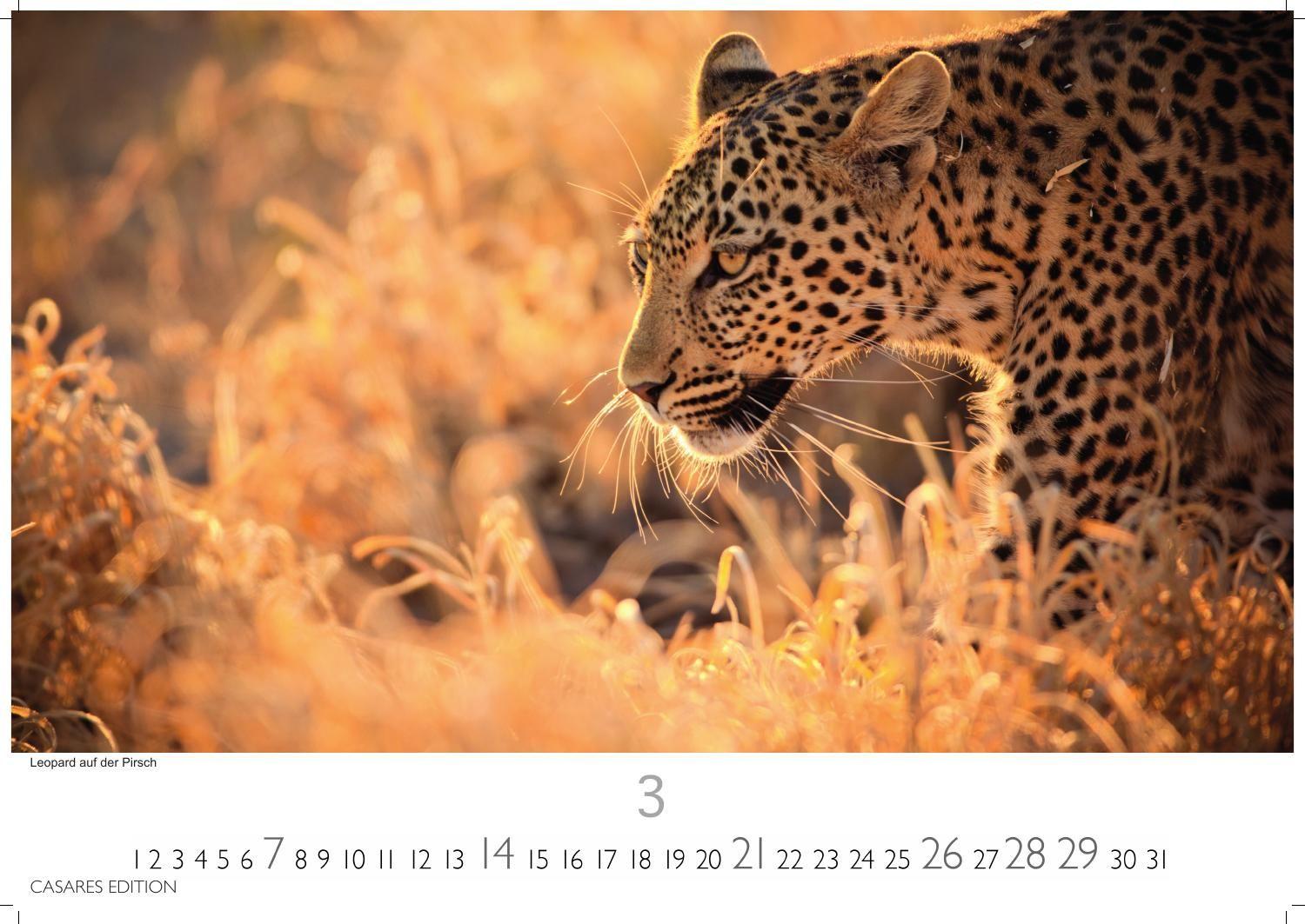 Beispielinhalt (Bild) Südafrika Kalender 2027 - Wandkalender | Fotokalender Afrika 24x35 cm - . mit atemberaubenden Natur- und Tierkalenderaufnahmen.