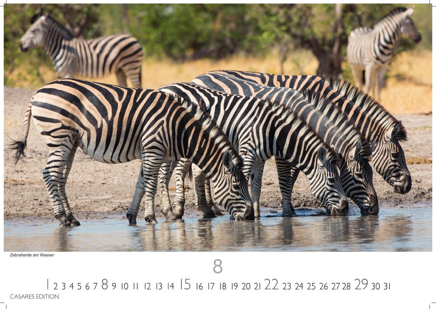 Beispielinhalt (Bild) Südafrika Kalender 2027 - Wandkalender | Fotokalender Afrika 24x35 cm - . mit atemberaubenden Natur- und Tierkalenderaufnahmen.
