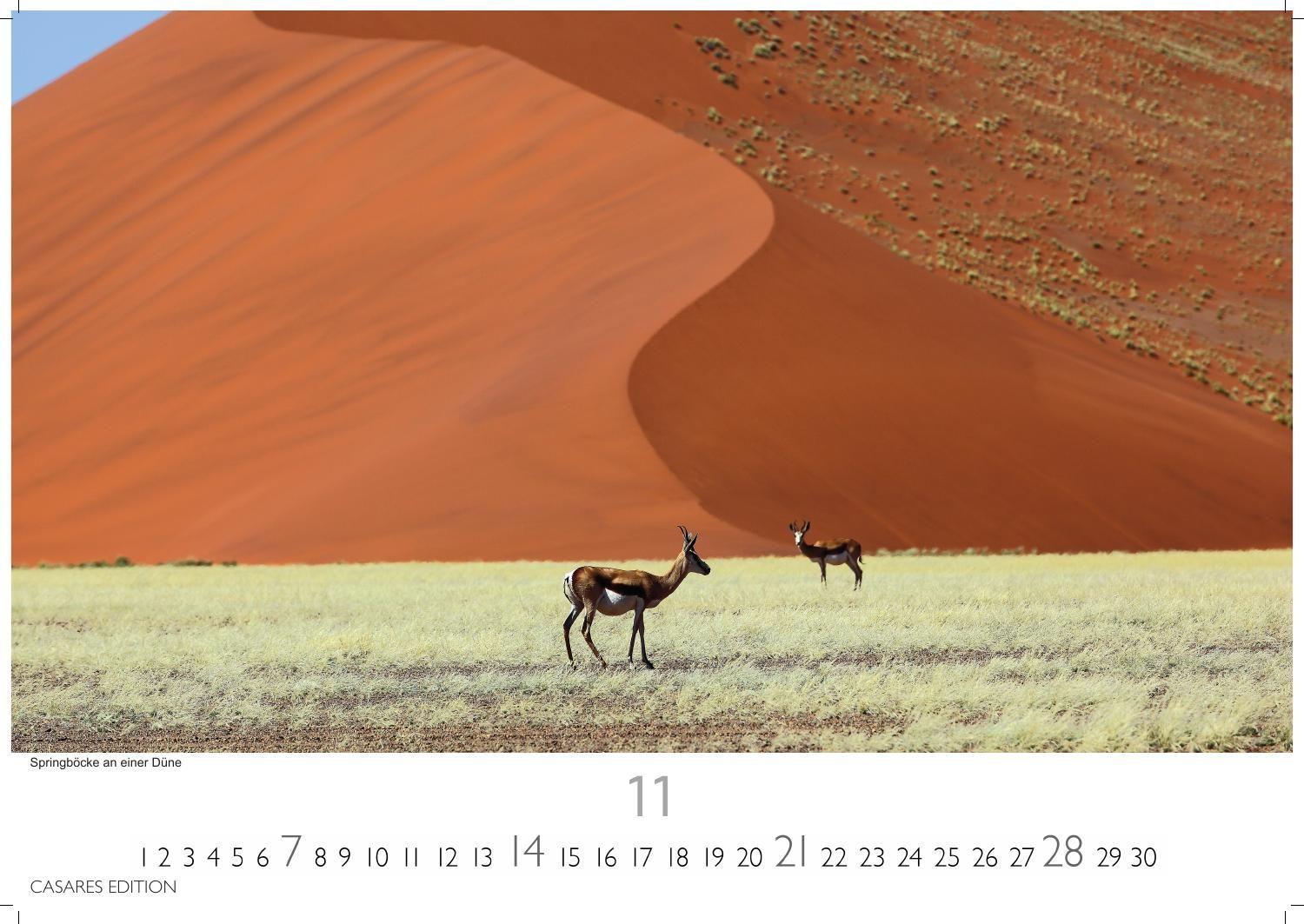 Beispielinhalt (Bild) Wilde Tiere Afrikas Kalender 2027 - Wandkalender | Fotokalender Afrika 24x35cm | Naturfotografie | Tierkalender Afrika | Geschenk für Naturliebhaber