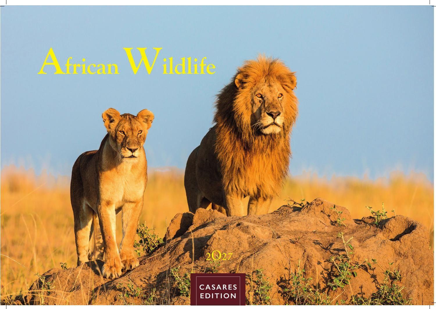 Vorderes Coverbild Wilde Tiere Afrikas Kalender 2027 - Wandkalender | Fotokalender Afrika 24x35cm | Naturfotografie | Tierkalender Afrika | Geschenk für Naturliebhaber