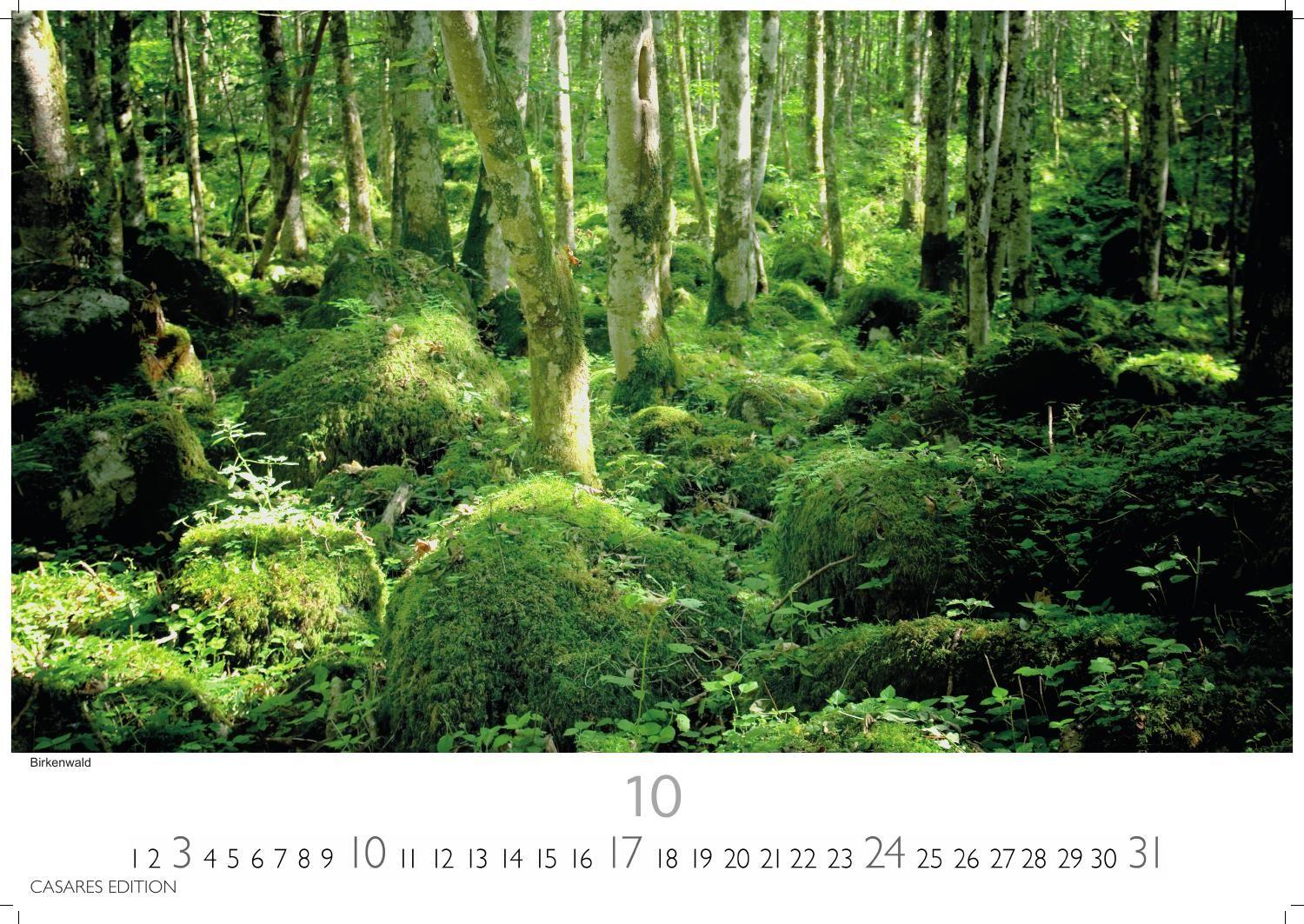 Beispielinhalt (Bild) Schweden Kalender 2027 - Wandkalender | Fotokalender Nordeuropa 24x35cm - Naturerlebnisse & Landschaften des Nordens - Hochwertiger . mit beeindruckenden Fotos