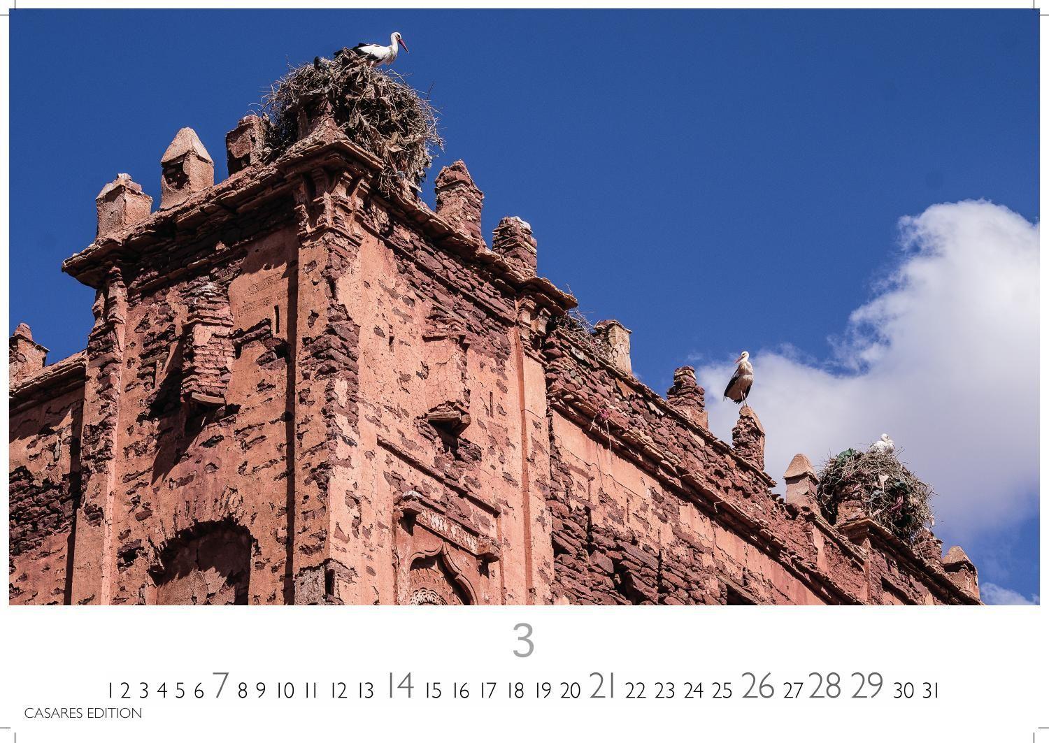 Beispielinhalt (Bild) Störche Kalender 2027 - Wandkalender | Fotokalender Tierkalender 35x50cm Grosses Format - Inspirierende Storch-Motive für Natur- und Tierkalenderliebhaber.