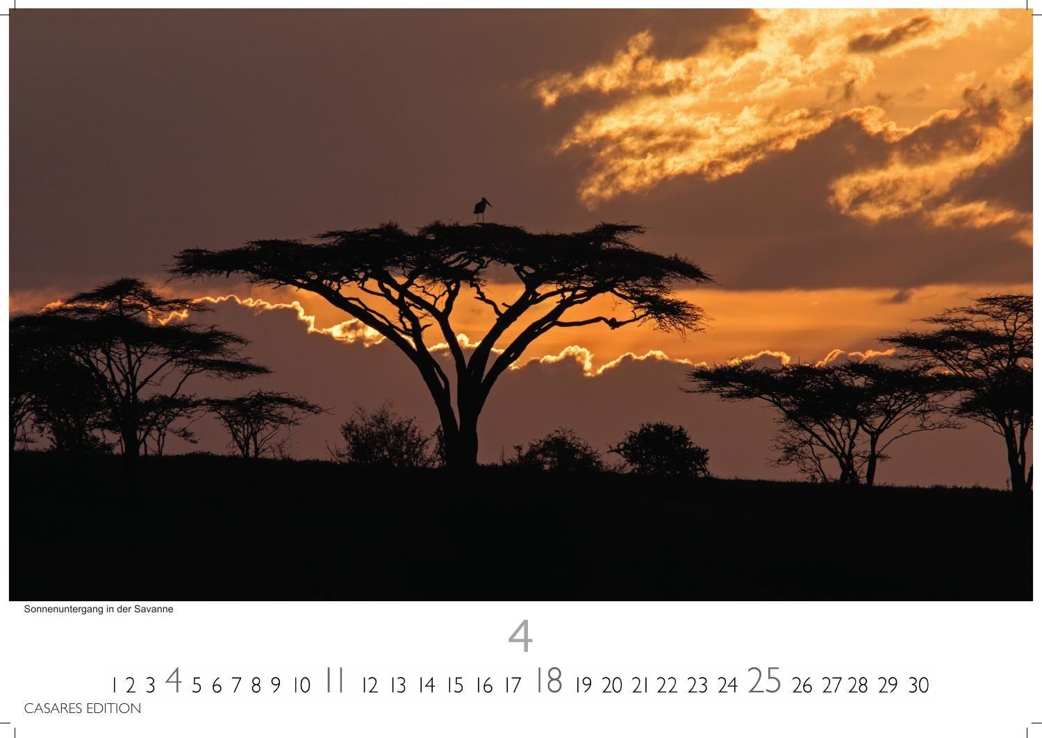 Beispielinhalt (Bild) Südafrika Kalender 2027 - Wandkalender | Fotokalender Afrika 35x50cm - . mit atemberaubenden Natur- und Tierkalenderaufnahmen