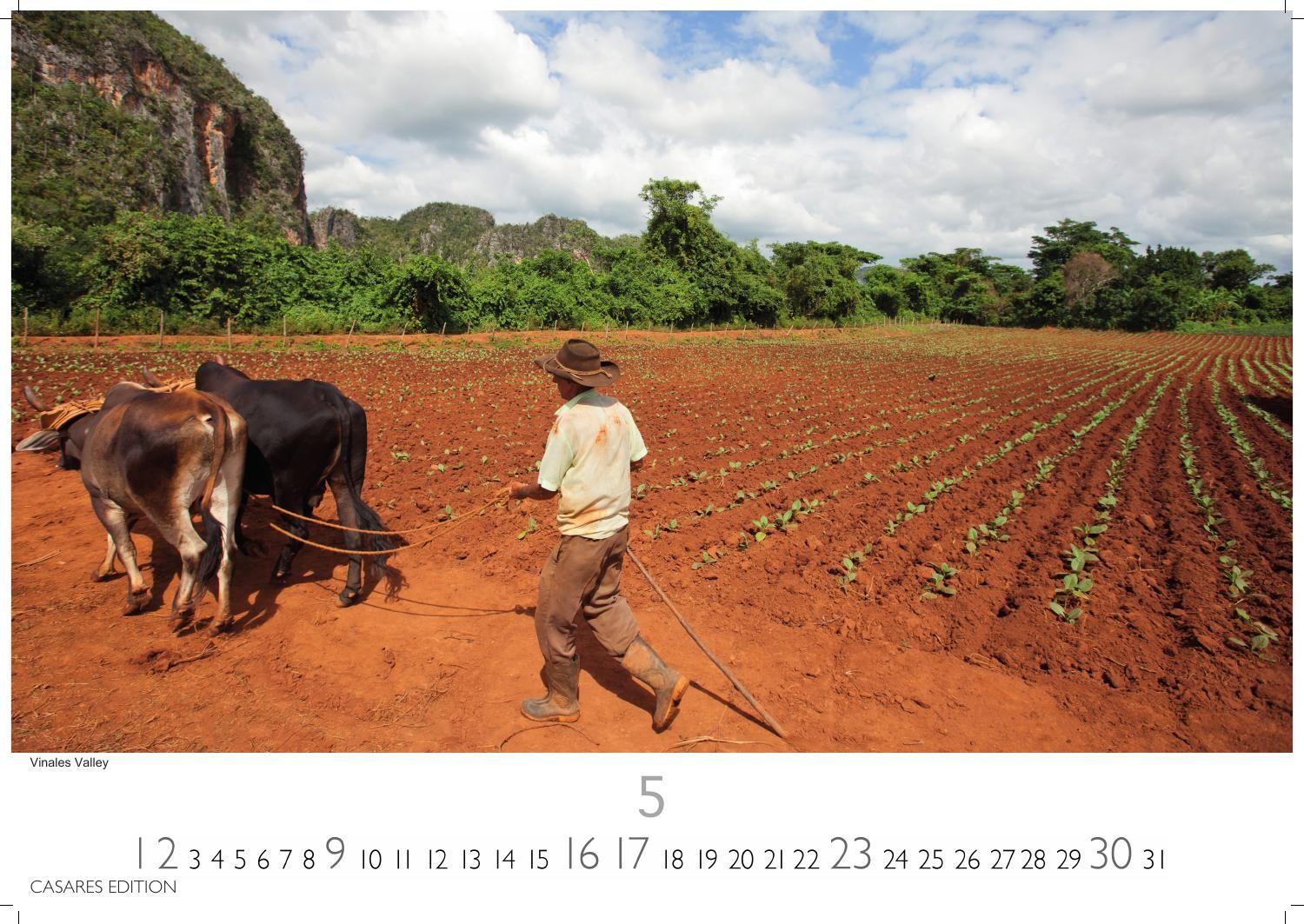 Beispielinhalt (Bild) Cuba Kalender 2027 - Wandkalender | Fotokalender Karibik 35x50cm - Farbenfroher mit beeindruckenden Kuba-Motiven, perfekte Deko & Geschenkidee