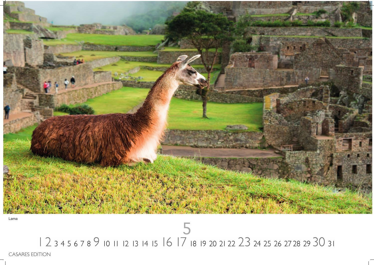 Beispielinhalt (Bild) Peru Kalender 2027 - Wandkalender | Fotokalender Südamerika 24x35cm - Bildkalender mit faszinierenden Natur- und Kulturszenen für Reisefans, Südamerika-Liebhaber & Träumer