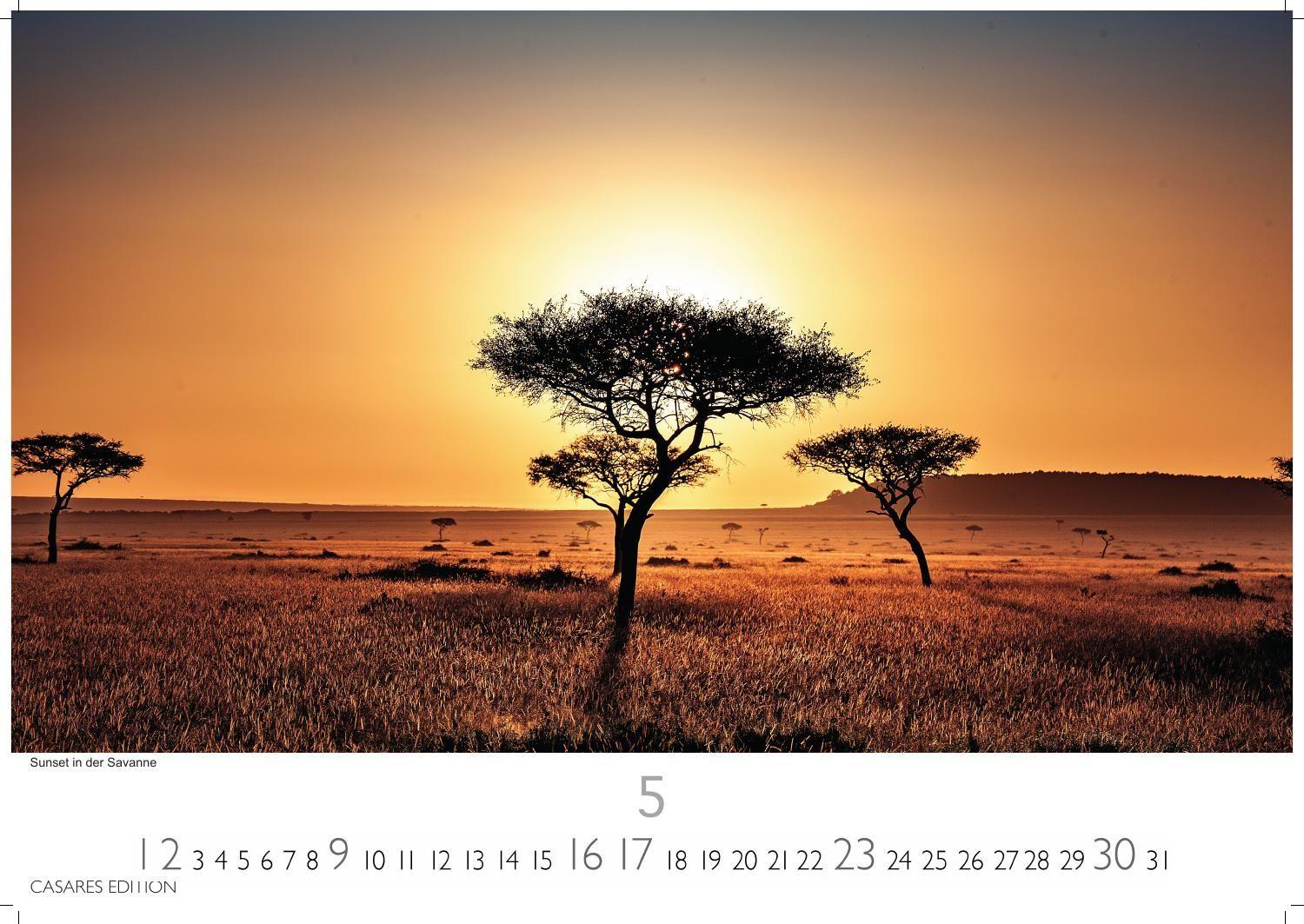 Beispielinhalt (Bild) Kenia & Serengheti Kalender 2027 - Wandkalender | Fotokalender Afrika 35x50cm - Wunderschöne Tierkalender- und Naturschutzfotos.