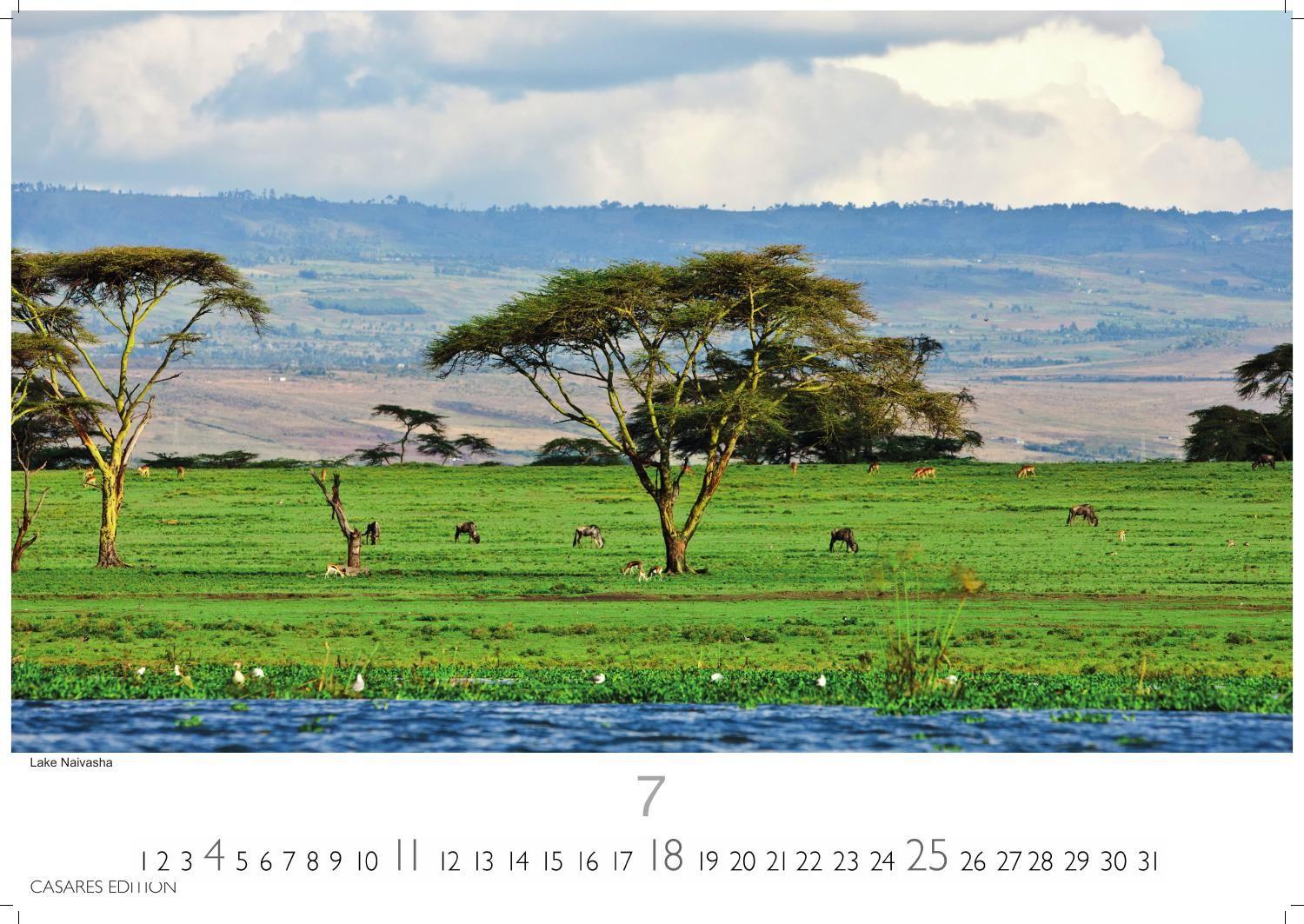 Beispielinhalt (Bild) Kenia & Serengheti Kalender 2027 - Wandkalender | Fotokalender Afrika 35x50cm - Wunderschöne Tierkalender- und Naturschutzfotos.