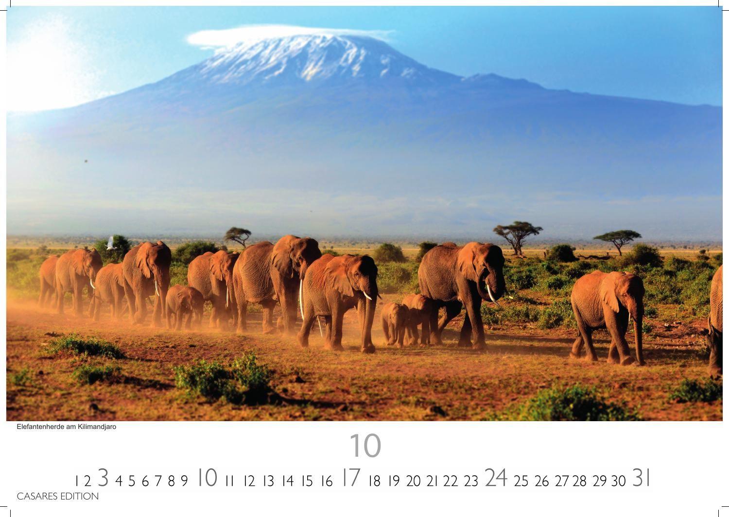 Beispielinhalt (Bild) Kenia & Serengheti Kalender 2027 - Wandkalender | Fotokalender Afrika 35x50cm - Wunderschöne Tierkalender- und Naturschutzfotos.