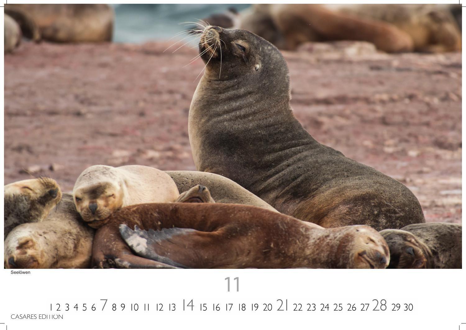 Beispielinhalt (Bild) Patagonien Kalender 2027 - Wandkalender | Fotokalender Südamerika 24x35cm - mit beeindruckenden Fotos von Gletschern, Bergen & Wildnis, ideal als Geschenk & Deko