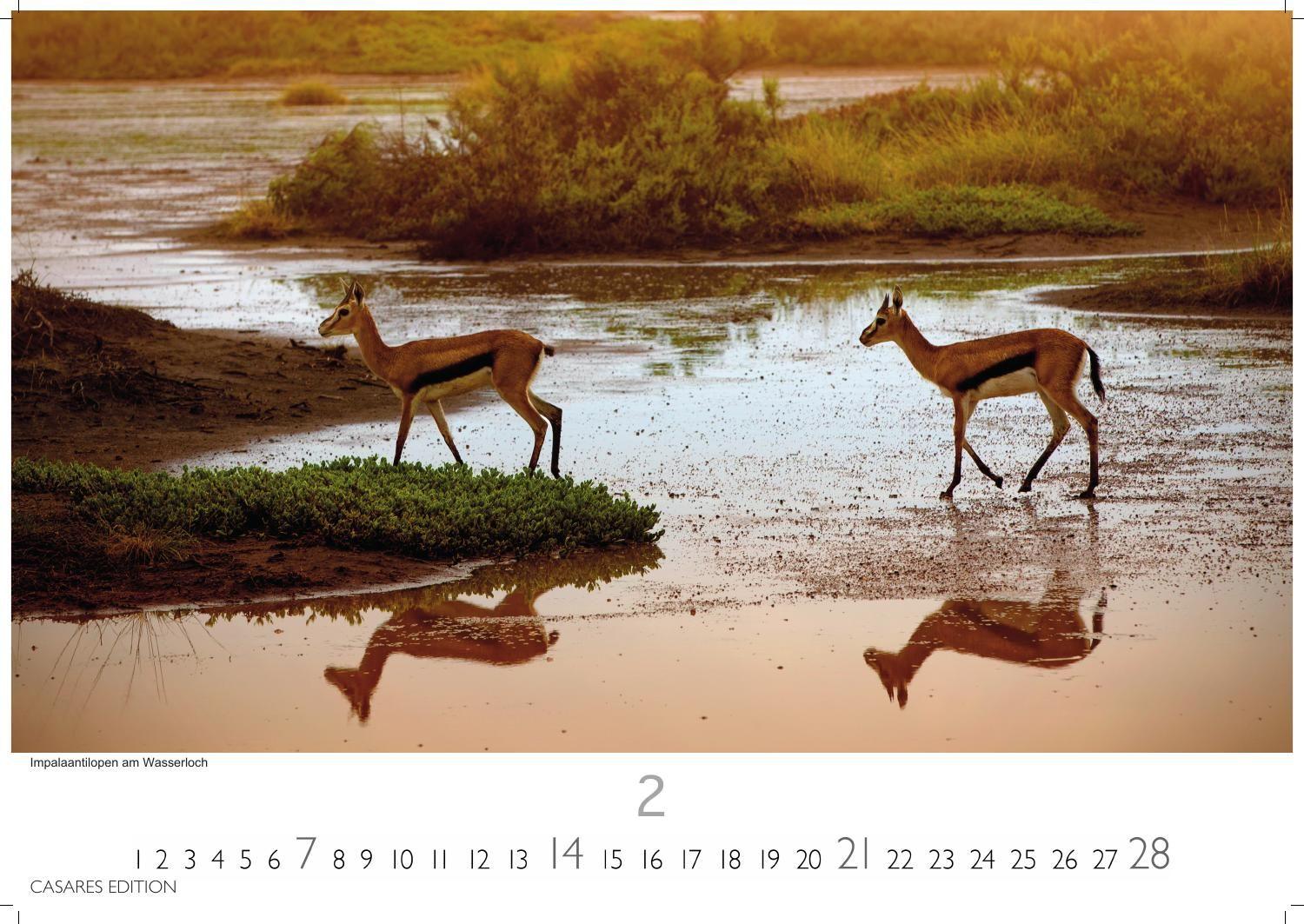 Beispielinhalt (Bild) Namibia Kalender 2027 - Wandkalender | Fotokalender Afrika 35x50 cm - . mit atemberaubenden Landschaftsfotos und der Tierwelt.