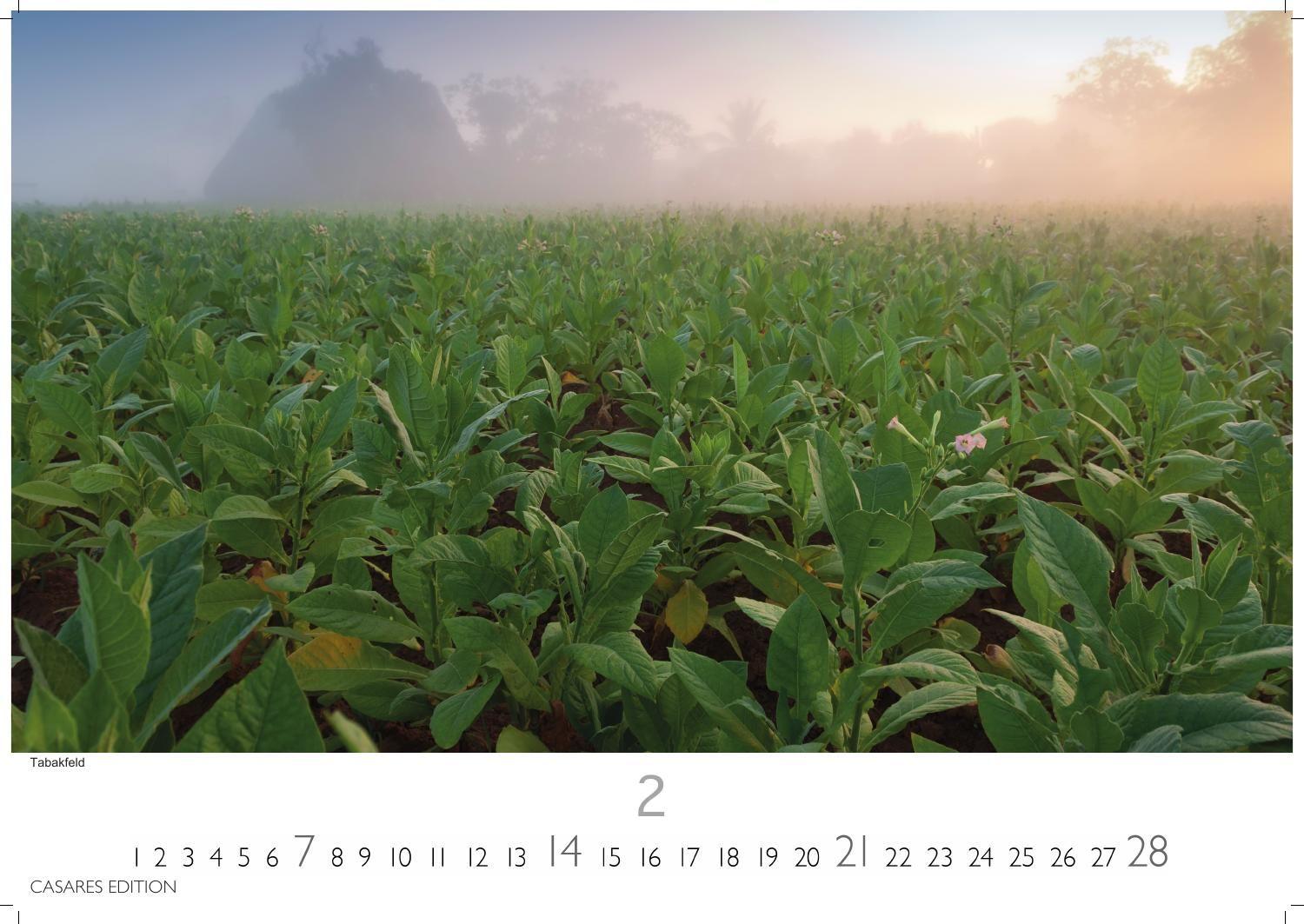 Beispielinhalt (Bild) Cuba Kalender 2027 - Wandkalender | Fotokalender Karibik 24x35cm - Karibische Bilder voller Lebensfreude, stilvolle Fotokunst für Küche, Büro oder Wohnzimmer