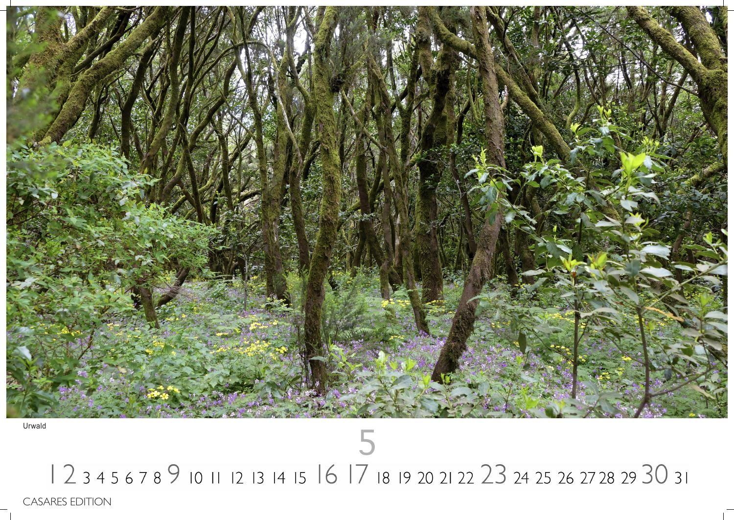 Beispielinhalt (Bild) La Gomera Kalender 2027 - Wandkalender | Fotokalender Spanien 24x35 cm - Atemberaubender . mit den schönsten Motiven der Kanareninsel