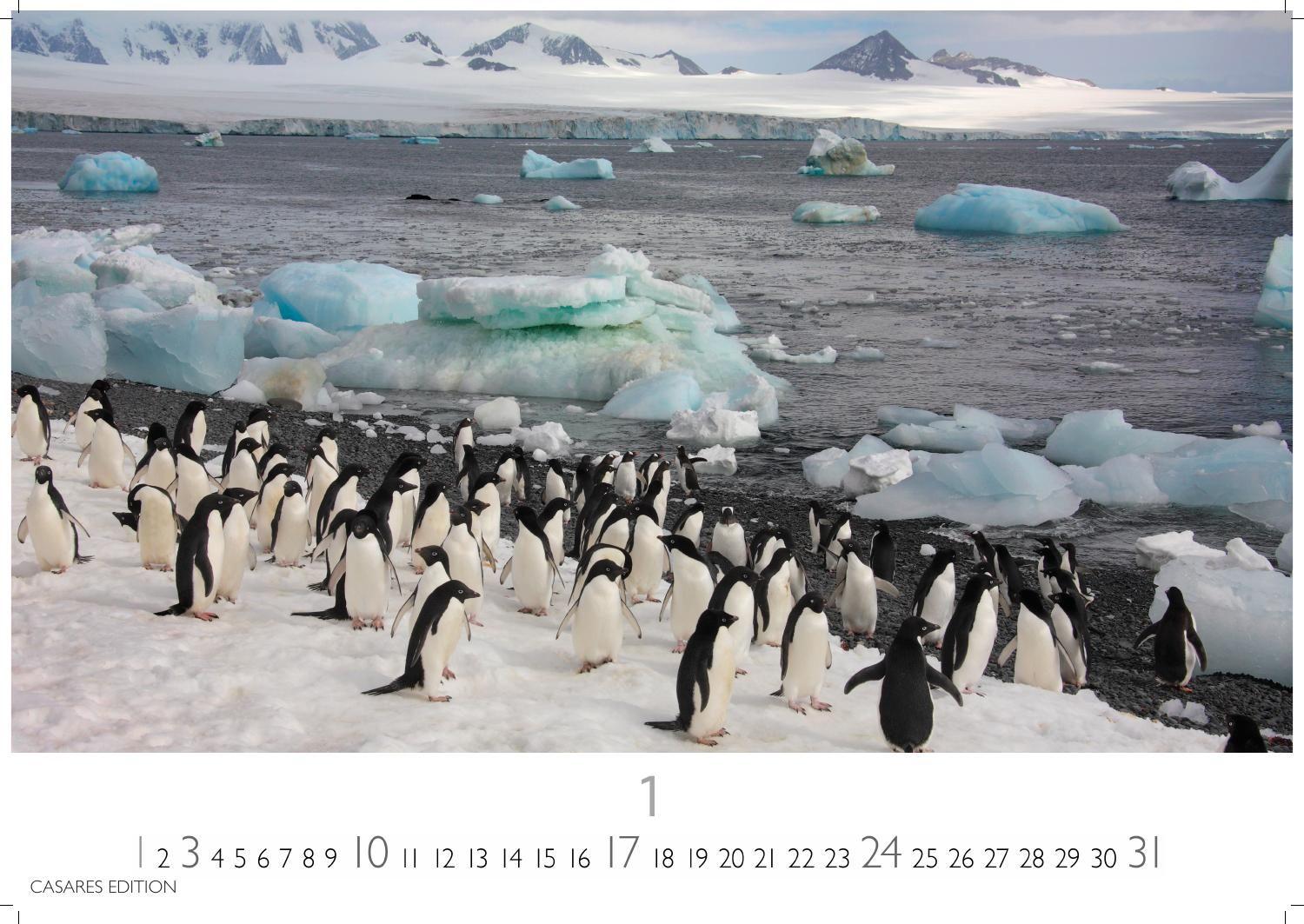 Beispielinhalt (Bild) Arctic Landscape Kalender 2027 - Wandkalender | Fotokalender Naturkalender 35x50cm Grosses Format - 12 faszinierende Fotos von arktische Landschaften | Polarlandschaften